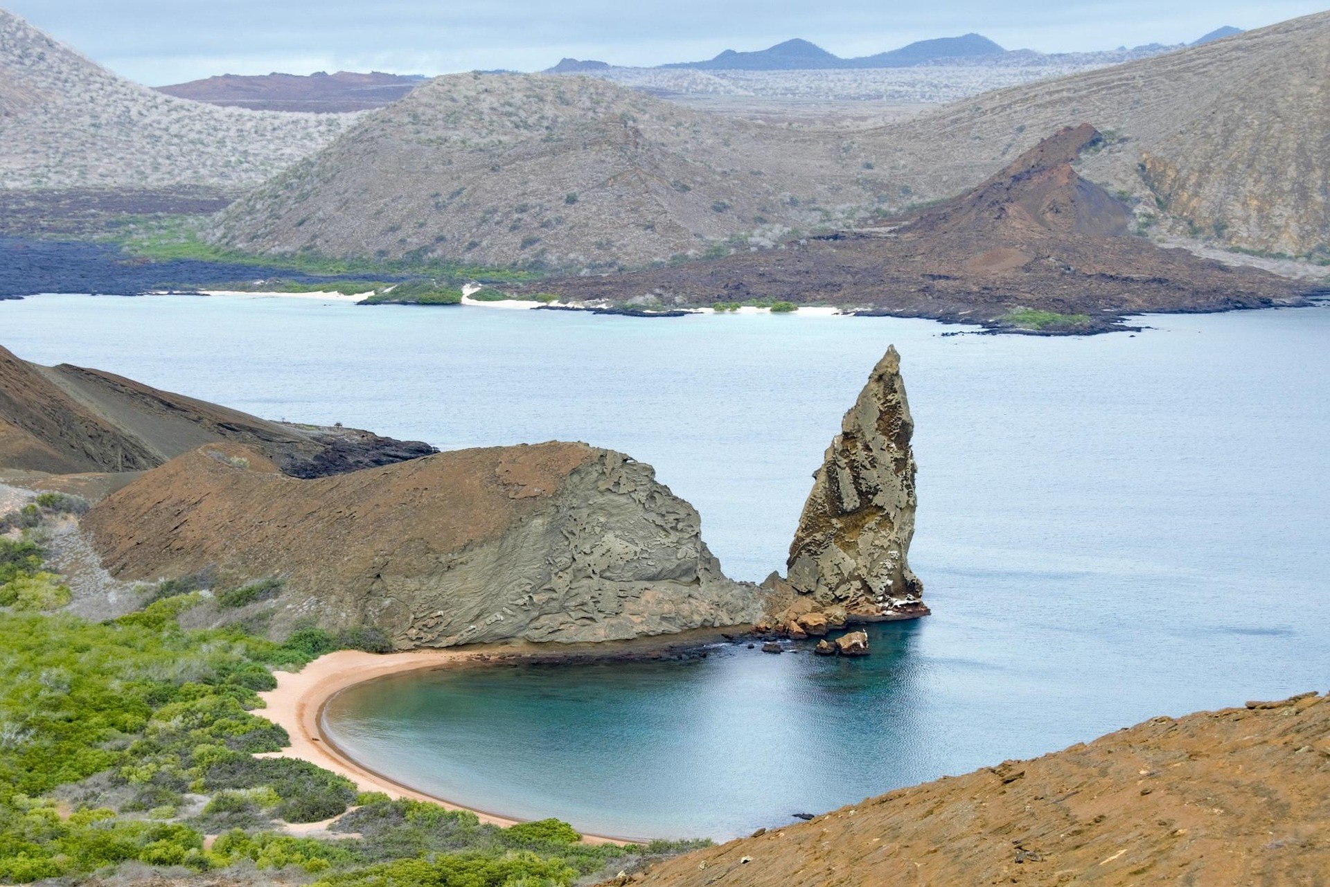 pen_ash-galapagos-islands-2419239_1920 (1).jpg