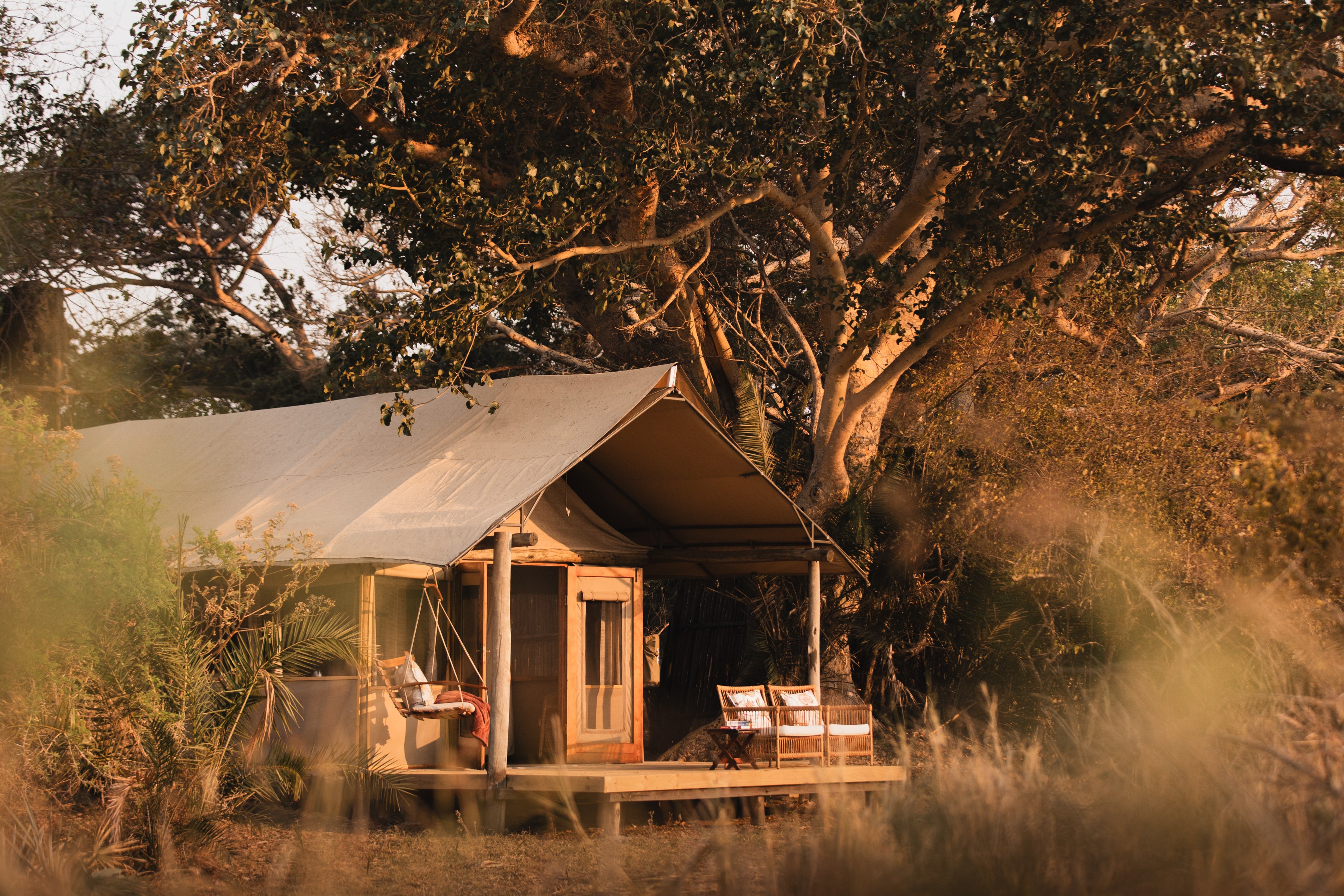 ZM-Busanga Bush Camp-tent exterior.jpg