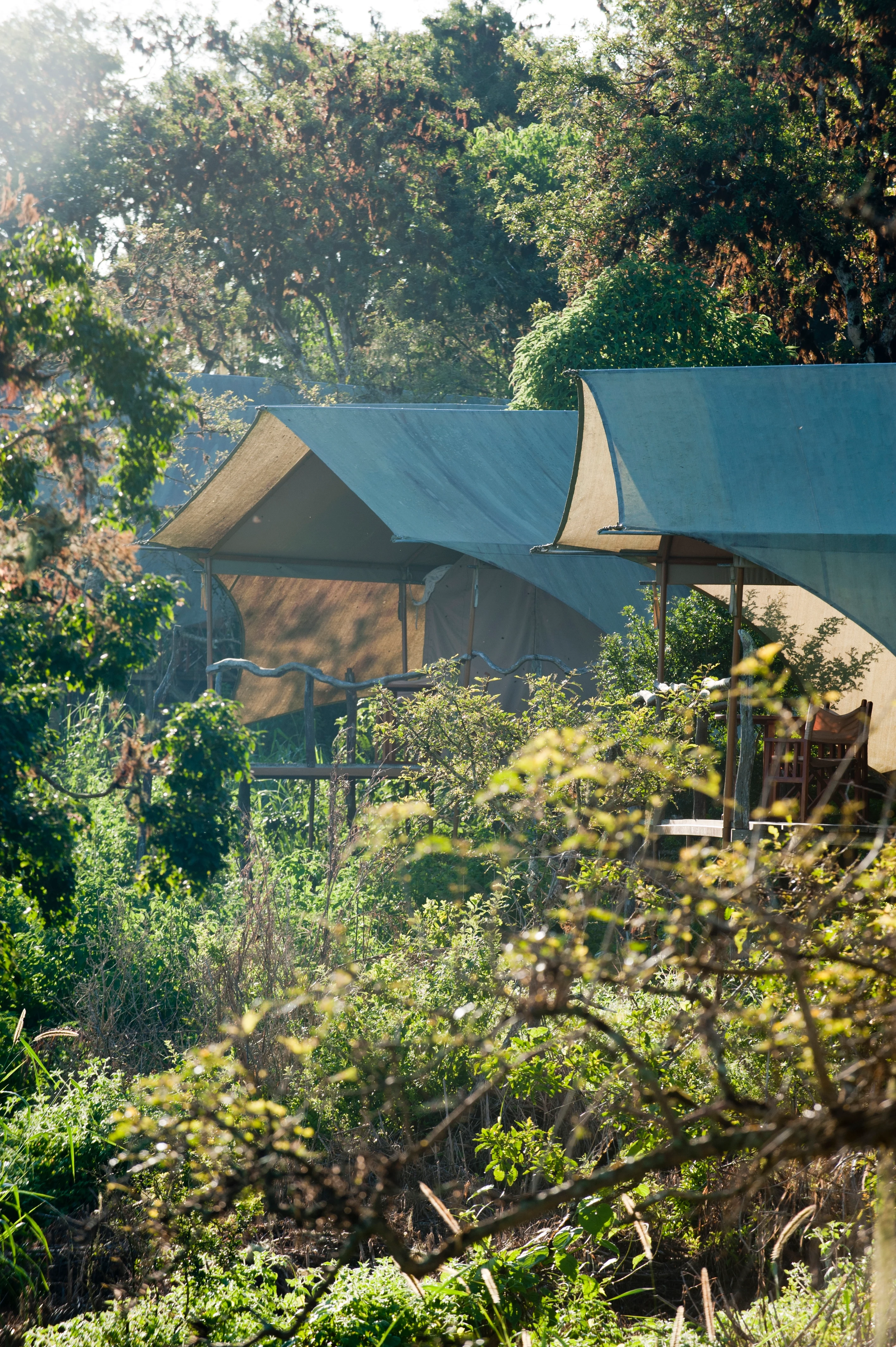 EC - Galapagos Safari Camp 16 tent exterior.webp