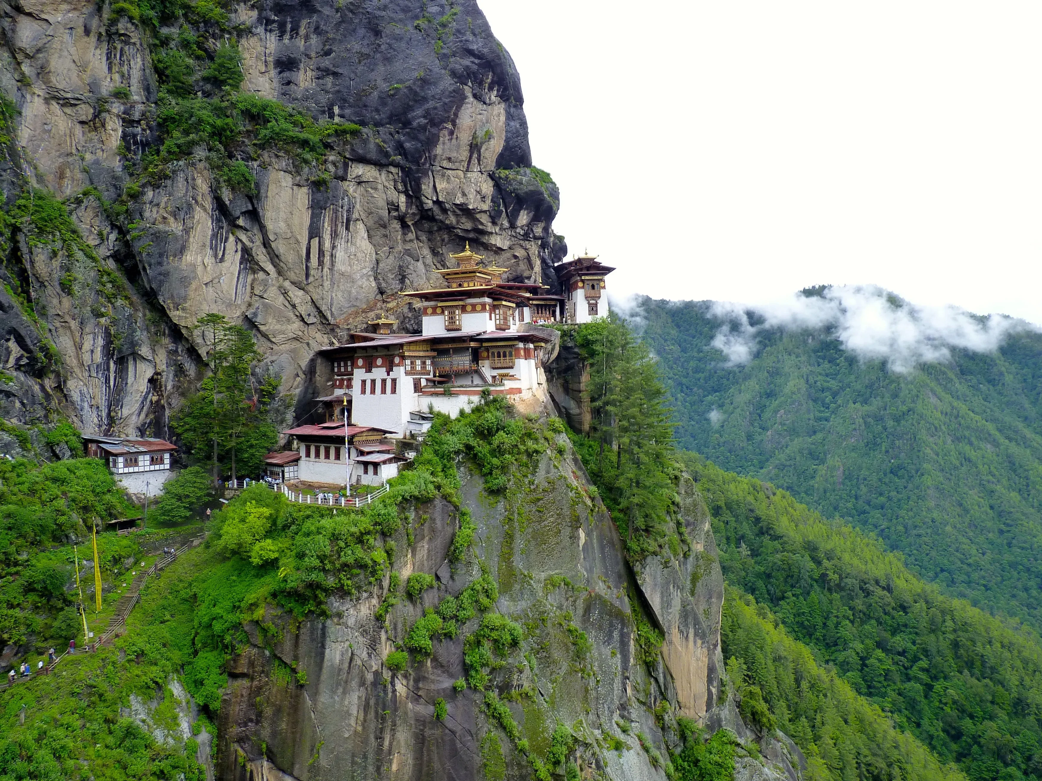 BT-Paro-TigersNest.webp