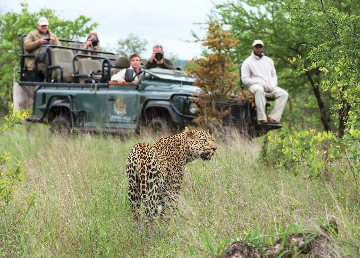 ZA- leopard hills - activities leopard.webp