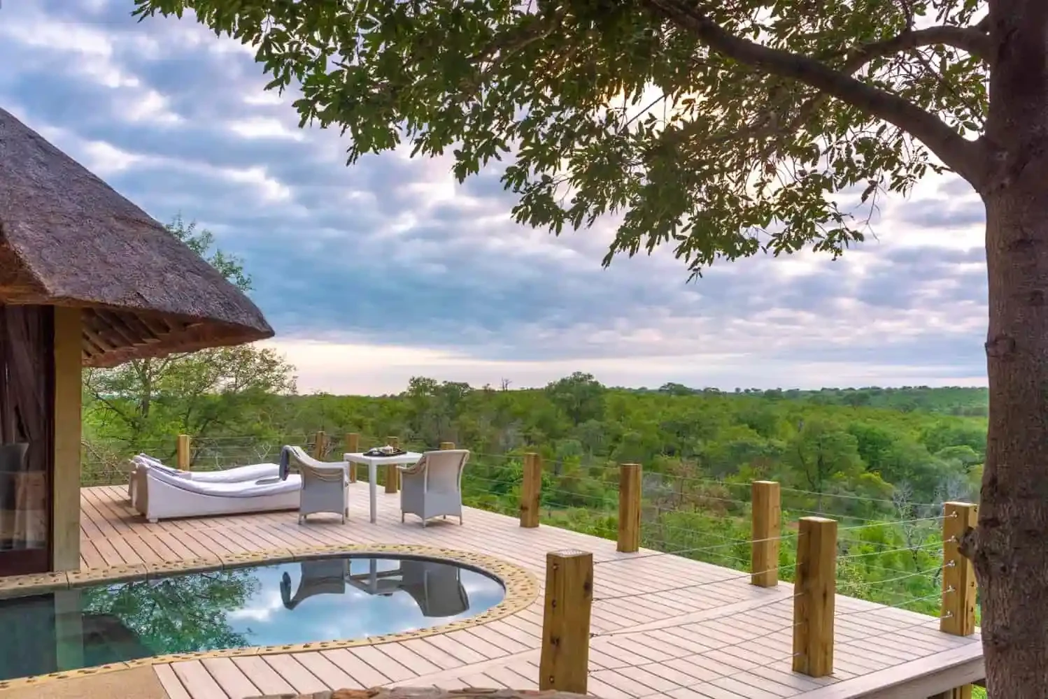 ZA- leopard hills - raised luxury suites  terrace pool.webp