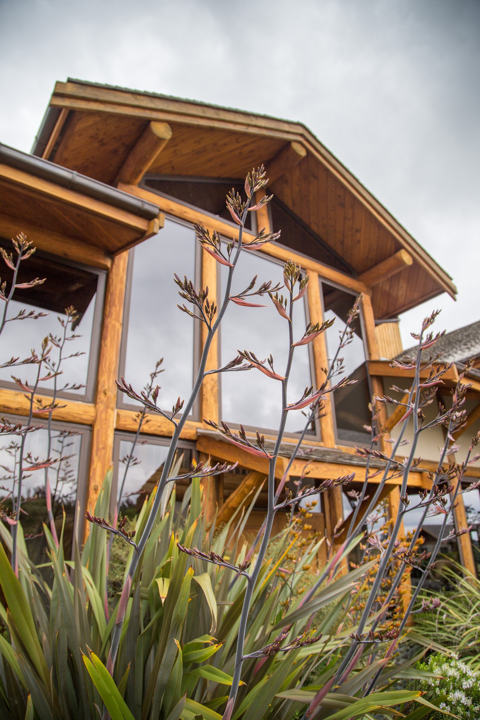 NZ - Fiordland Lodge - Exterior.jpg