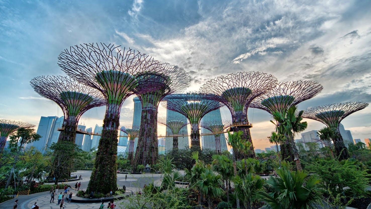 SG-Supertree Grove 1.jpg