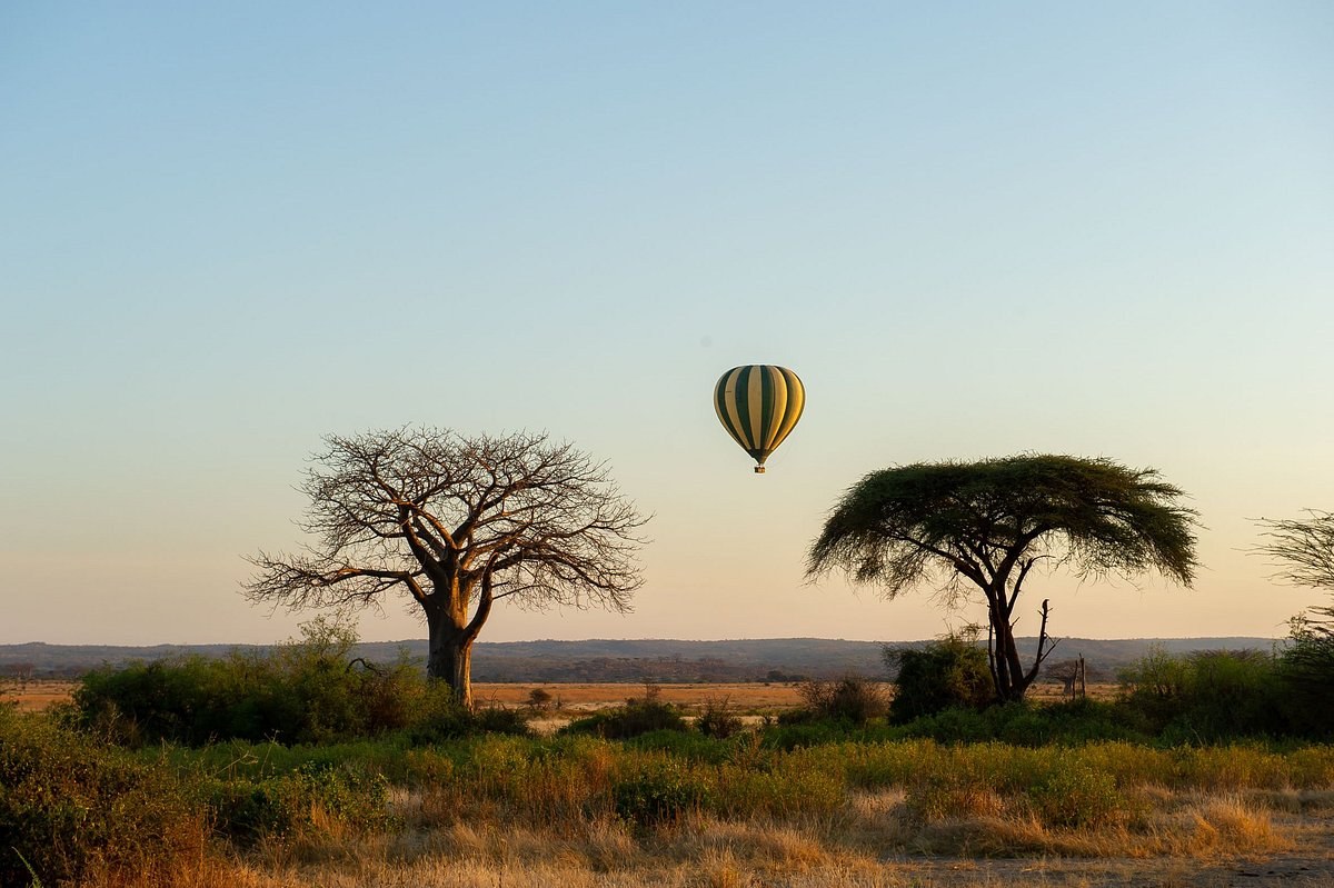 TZ-balloon_safari_Ruaha-balloon_with_landscape.jpg