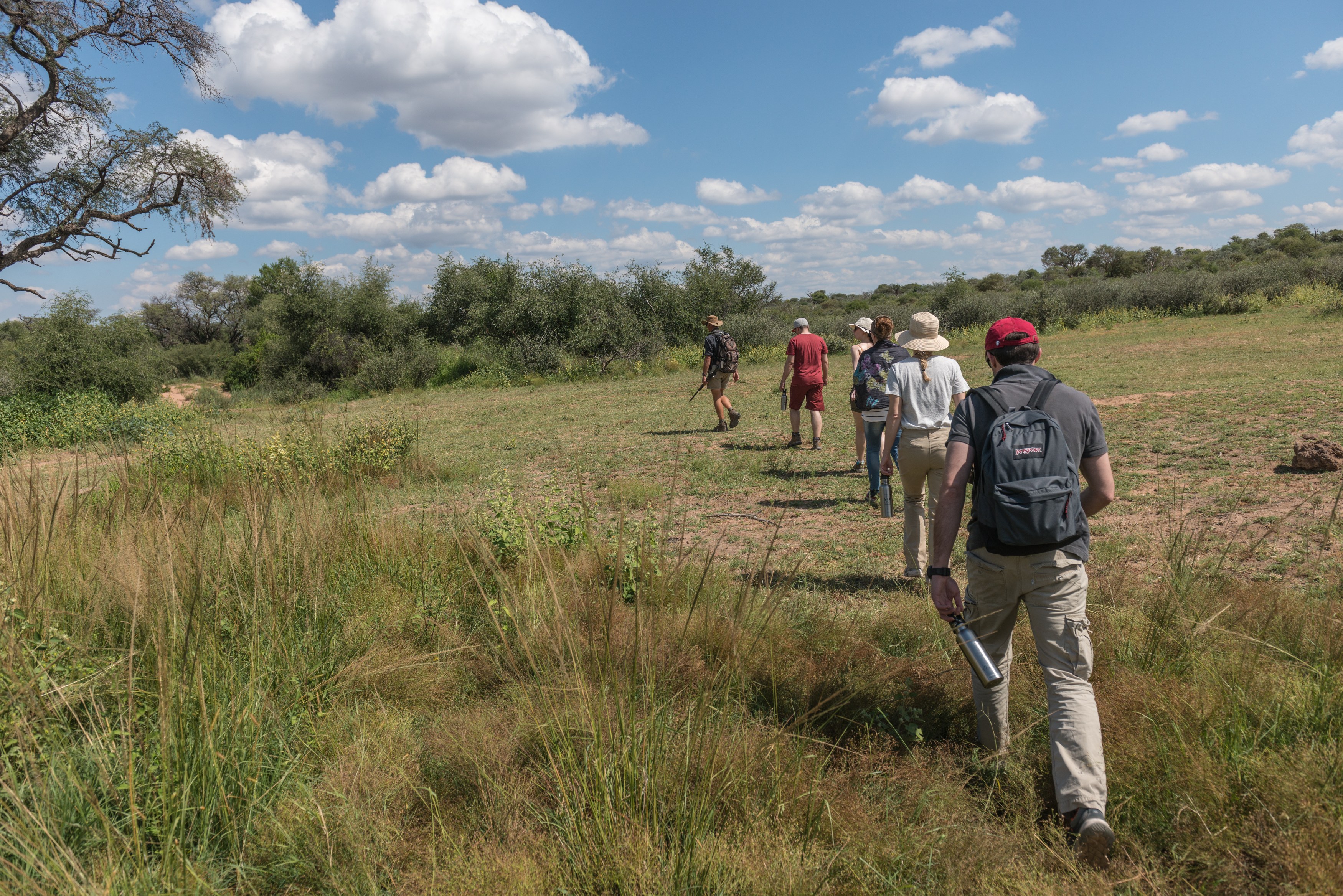 ZA - Marataba Safari Lodge - Walking safari.jpg