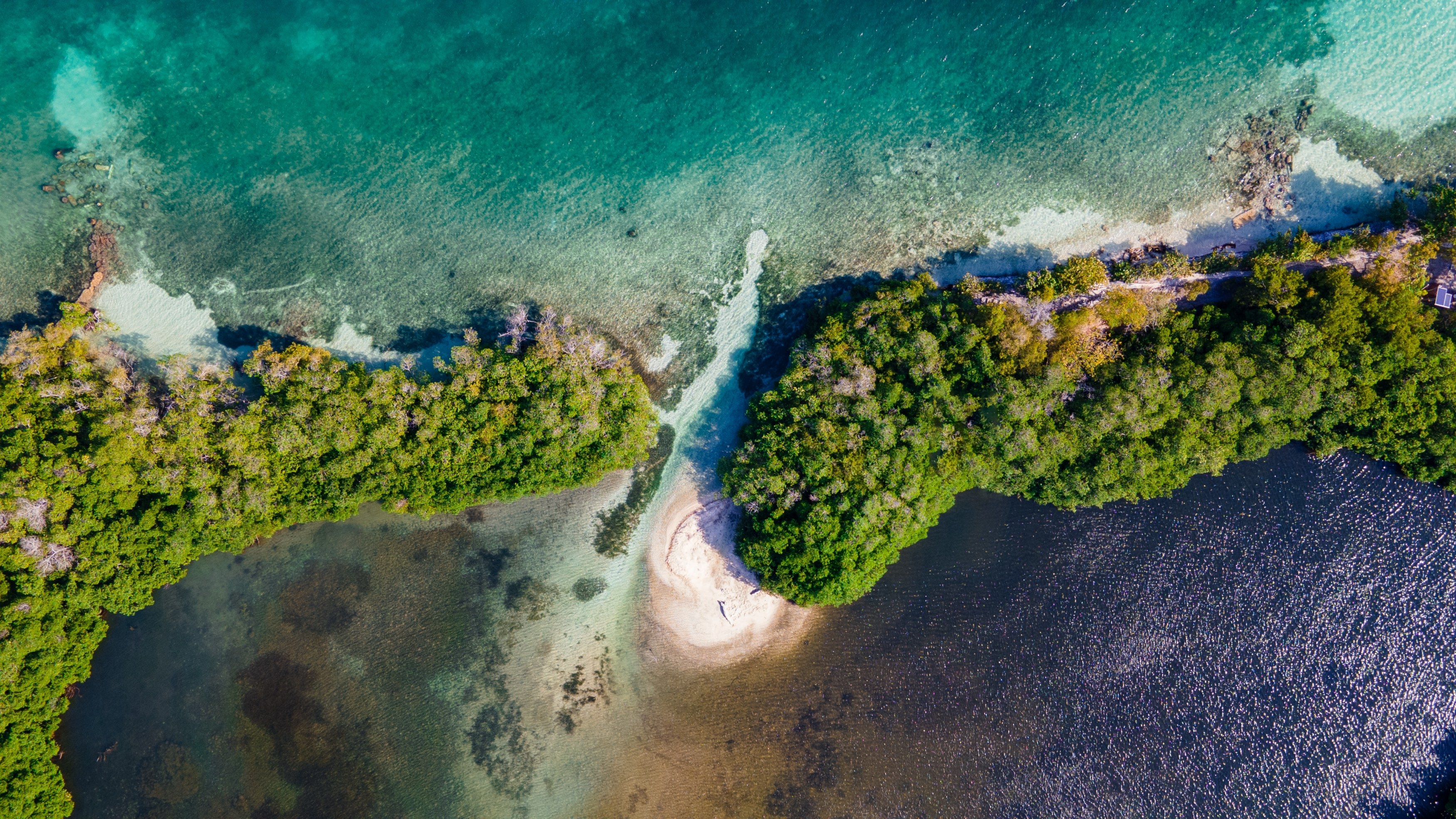 CO-Rosario Islands-birds view island- Shutterstock (1).jpg