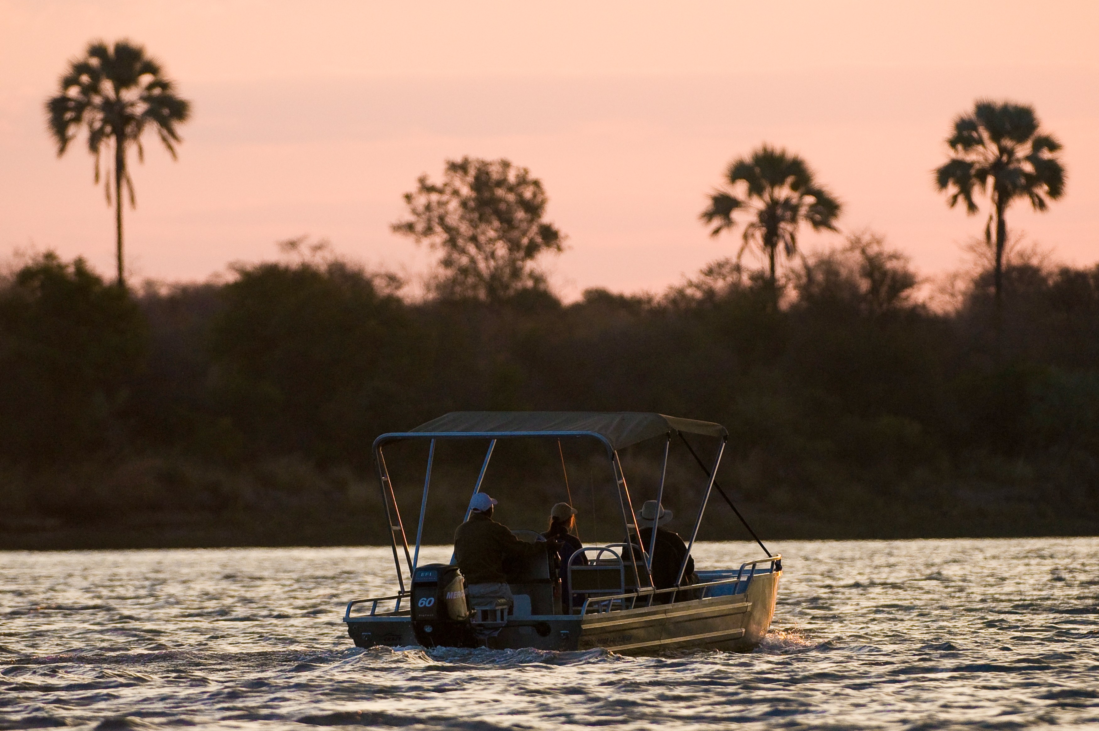 ZW - Zambezi - Sunset Cruise (3).jpg