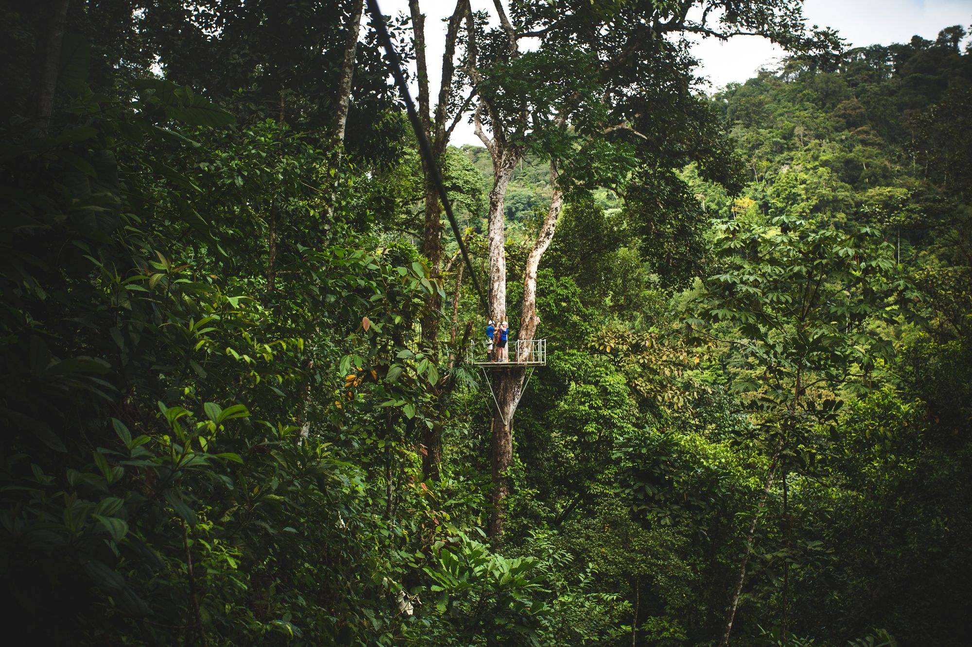CR - Zipline tussen de boomtoppen peninsula papagayo.jpeg