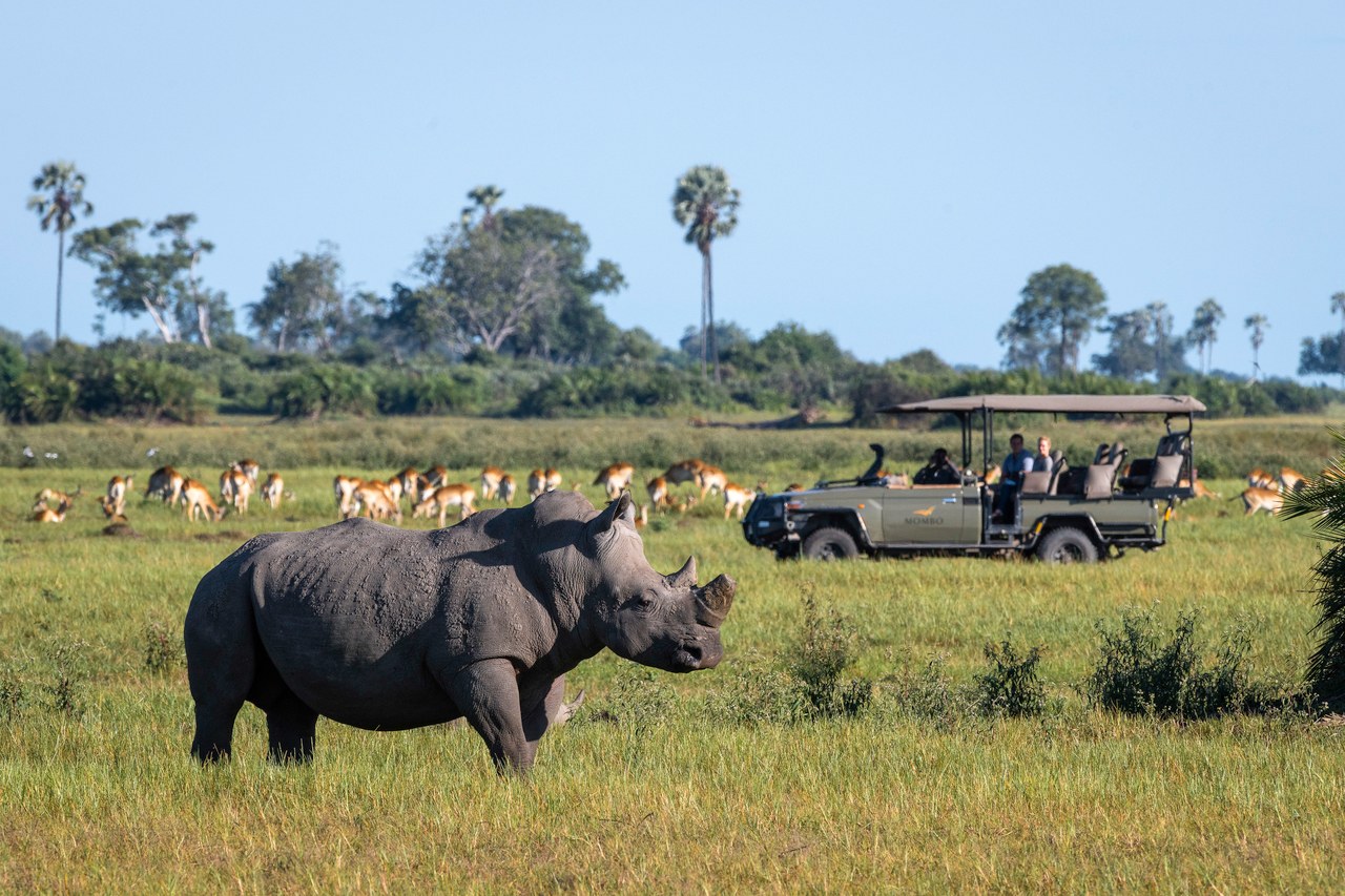 BW-Mombo Camp-game drive.jpg