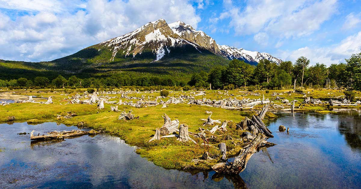 AR-excursie-ushuaia-tierra-del-fuego-national-park-half-day-basistekst-compressed.jpg