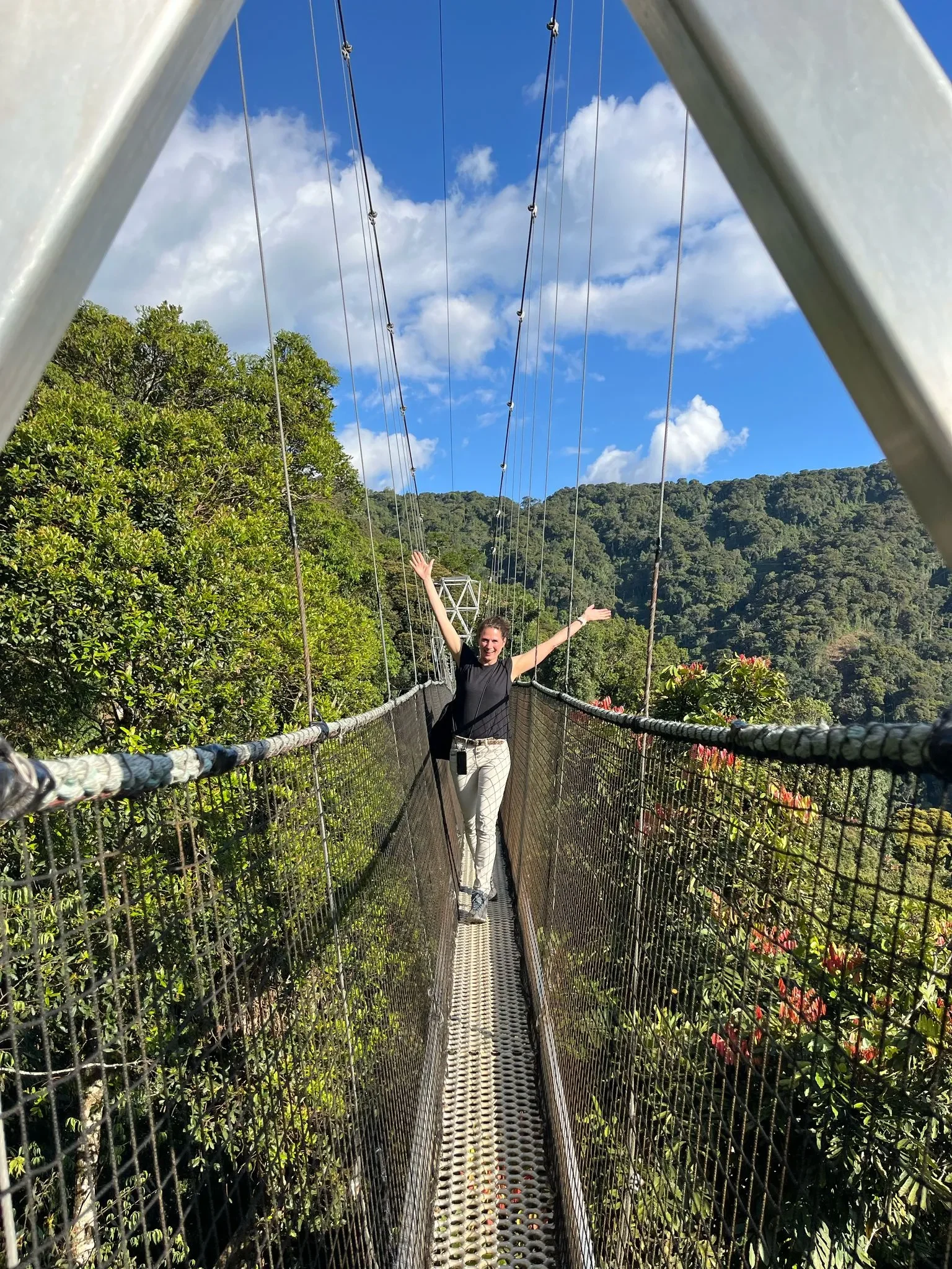 RW - Treetop walk Nyungwe National Park.webp