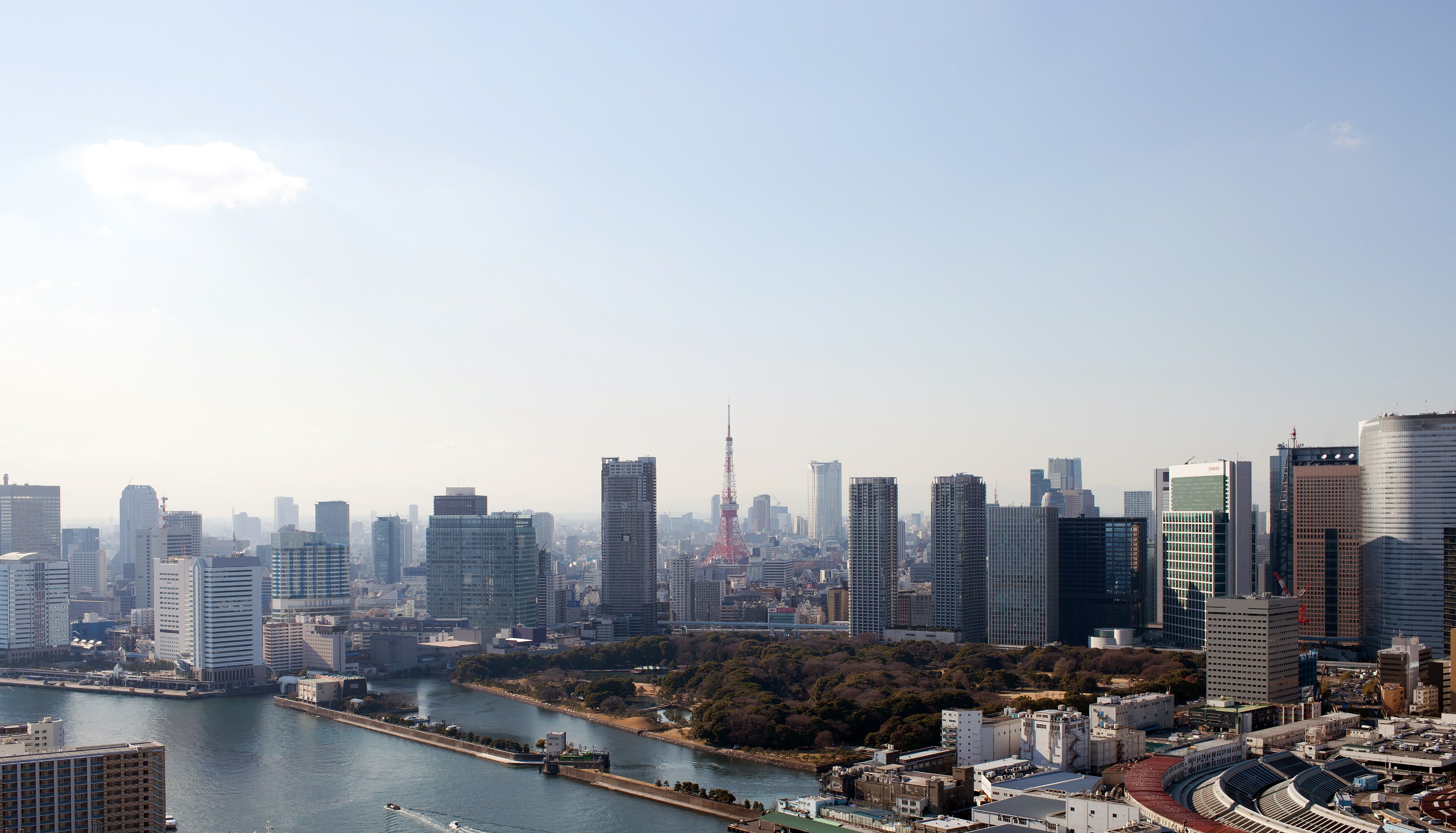JP - Tokyo  view of Tokyo (1).jpg