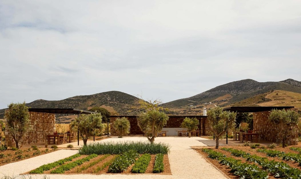 GR-The-Rooster-the-farm.jpg