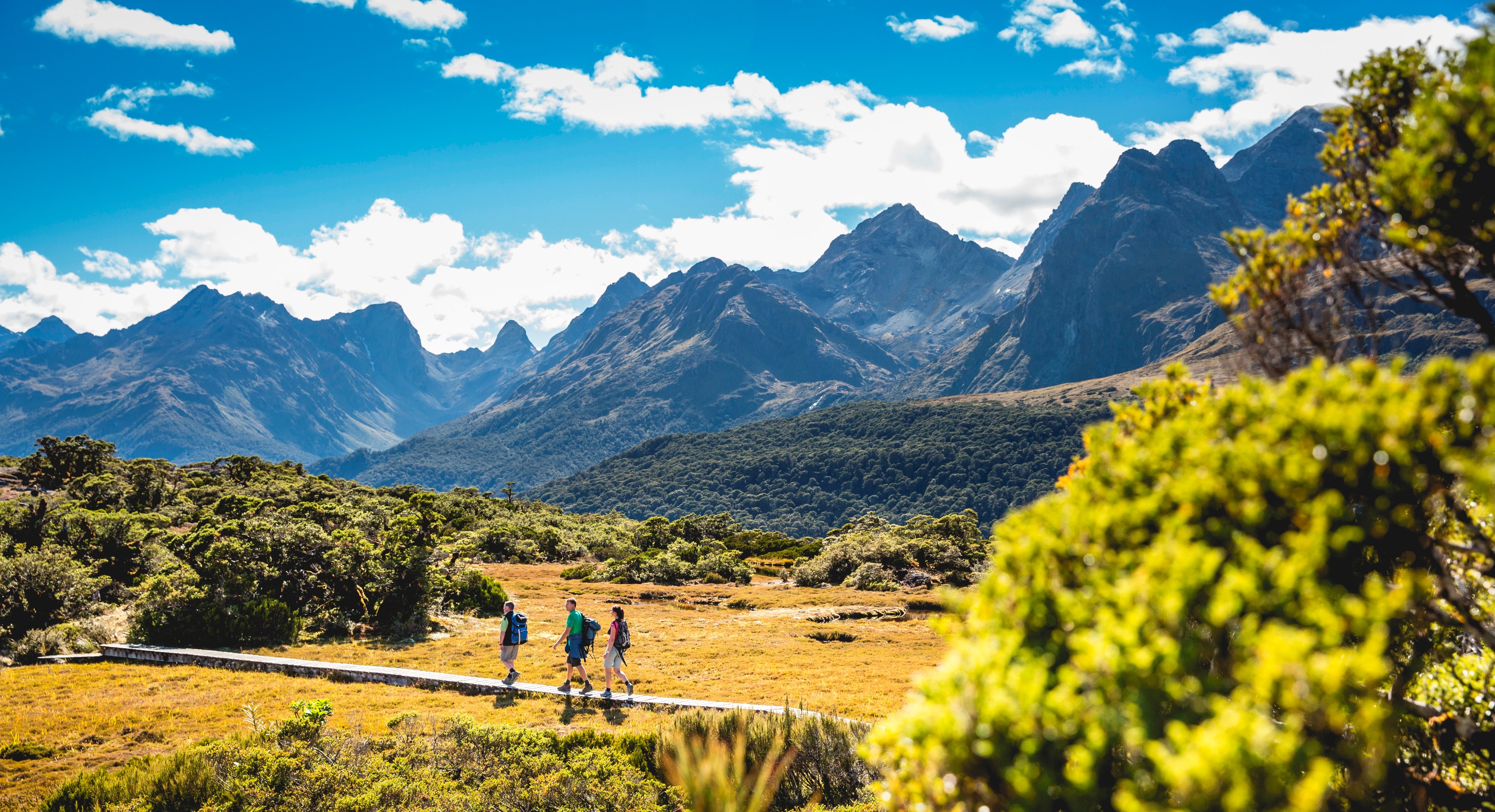 NZ - Fiordland Lodge - Walk.jpg