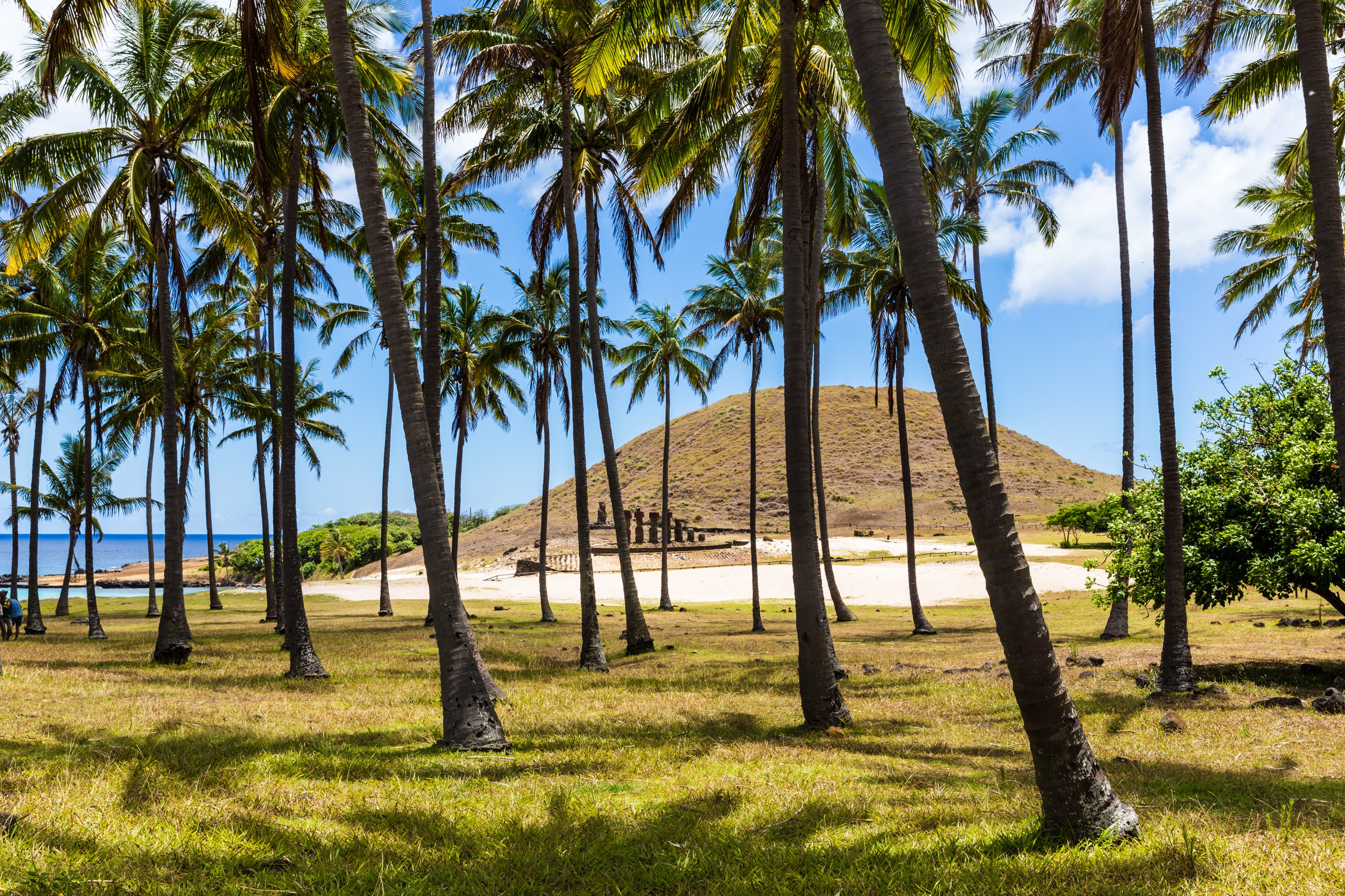 CL-Accommodatie-Nayara-Hangaroa-Anakena beach 1.jpg