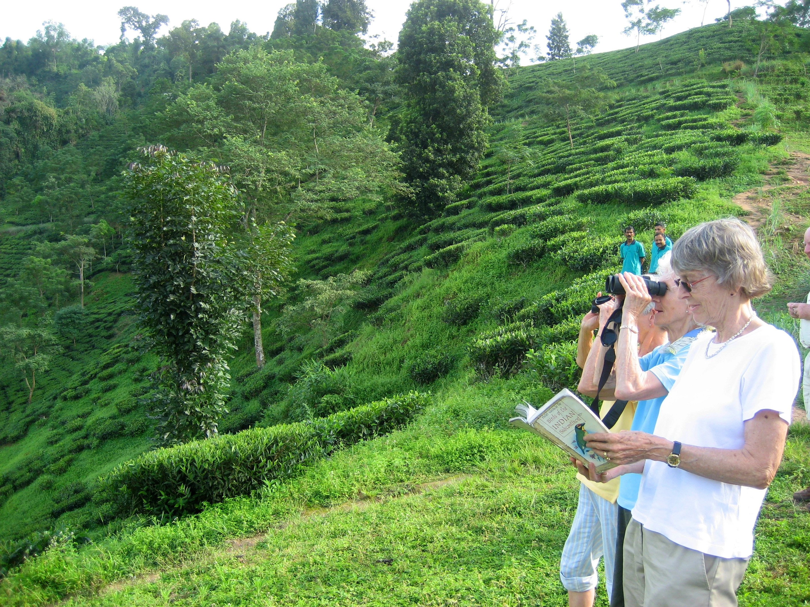 IN - Glenburn Tea Estate & Botique Hotel -birdwatching.webp