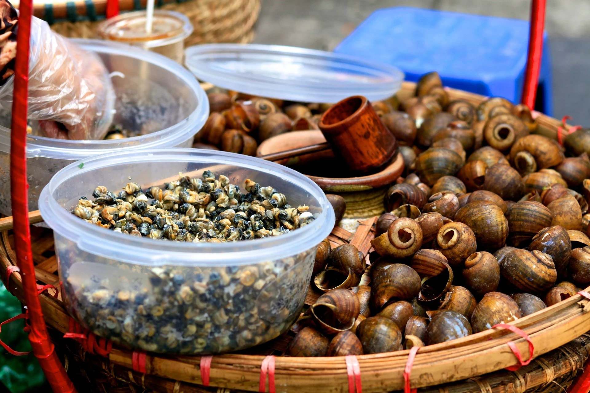 VN - Food Tour Hanoi (1).webp