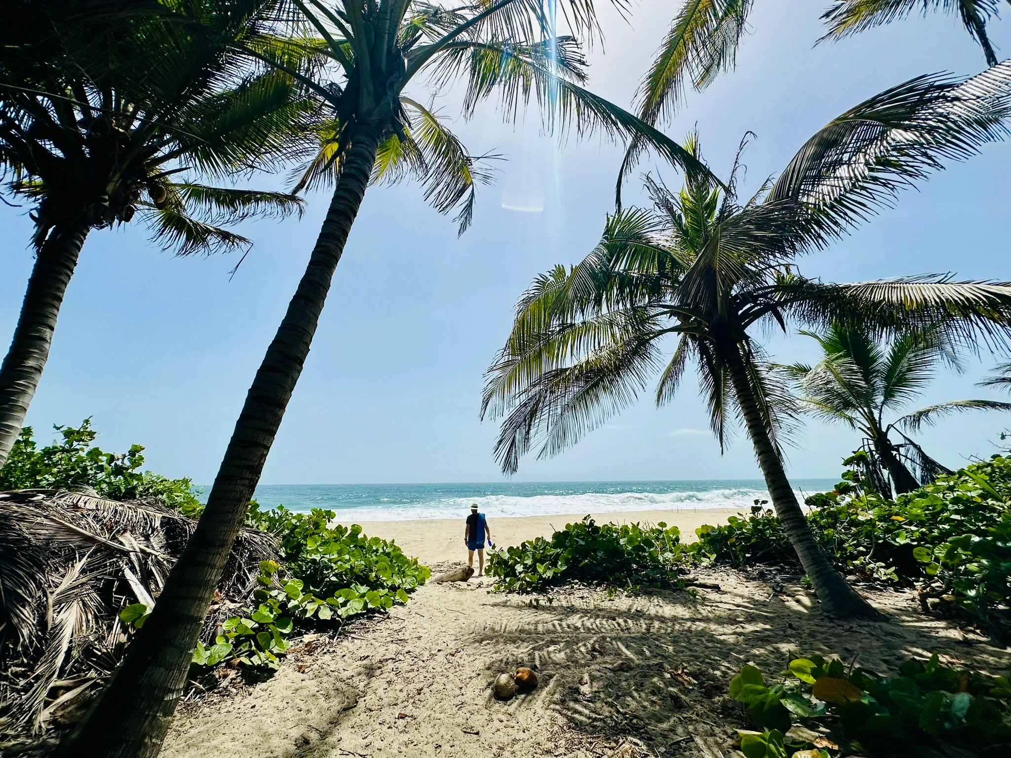 CO-Santa-Marta-Los-Naranjos-strand-palmbomen.webp