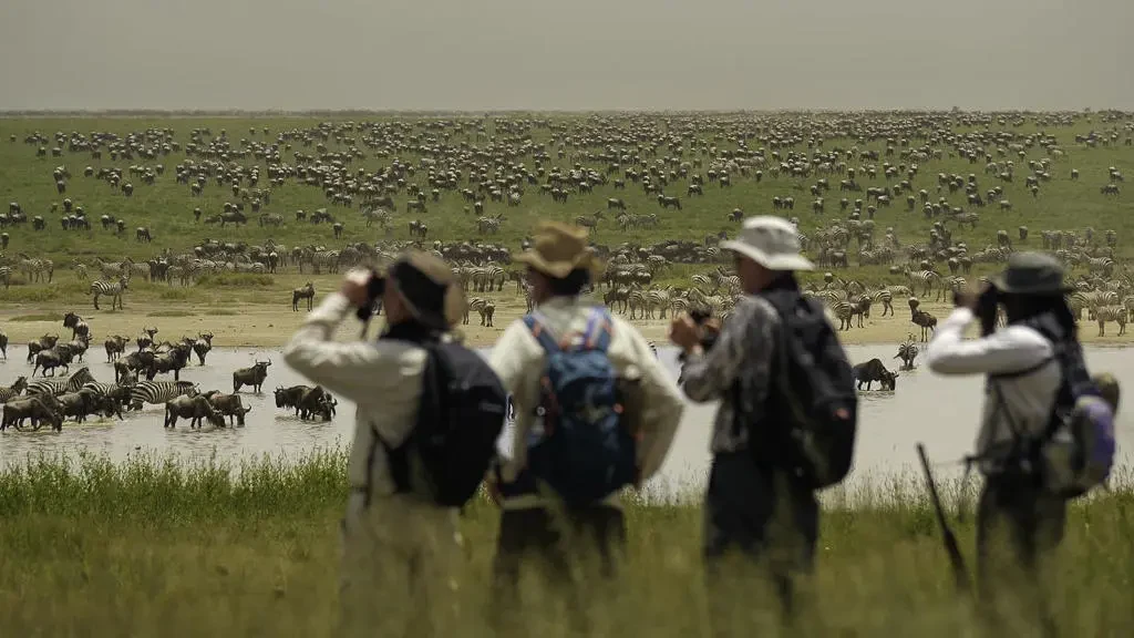 TZ-Usawa Serengeti-game walk1.webp