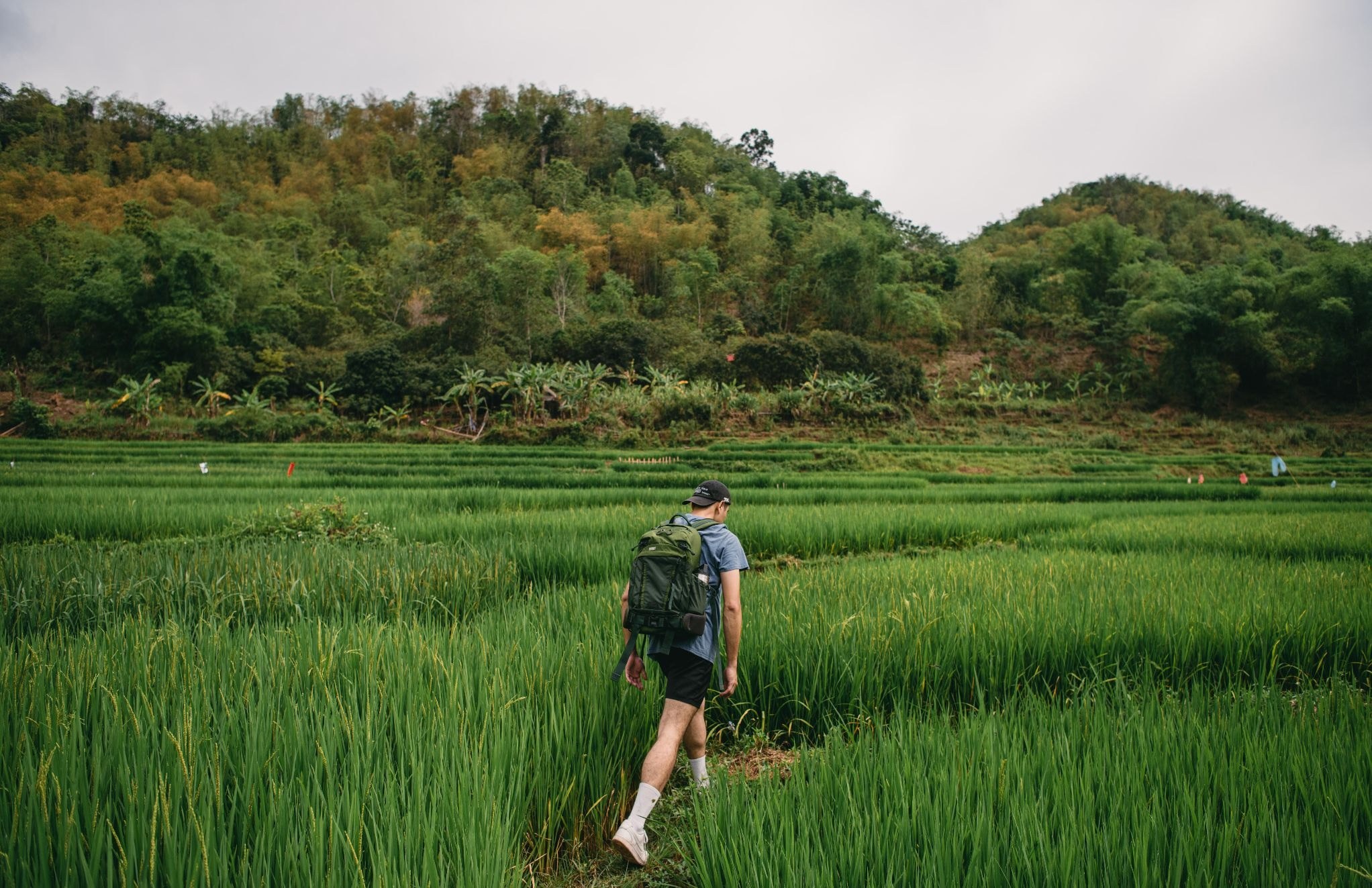 VN - Avana Retreat - Hmong Village Trek.jpg
