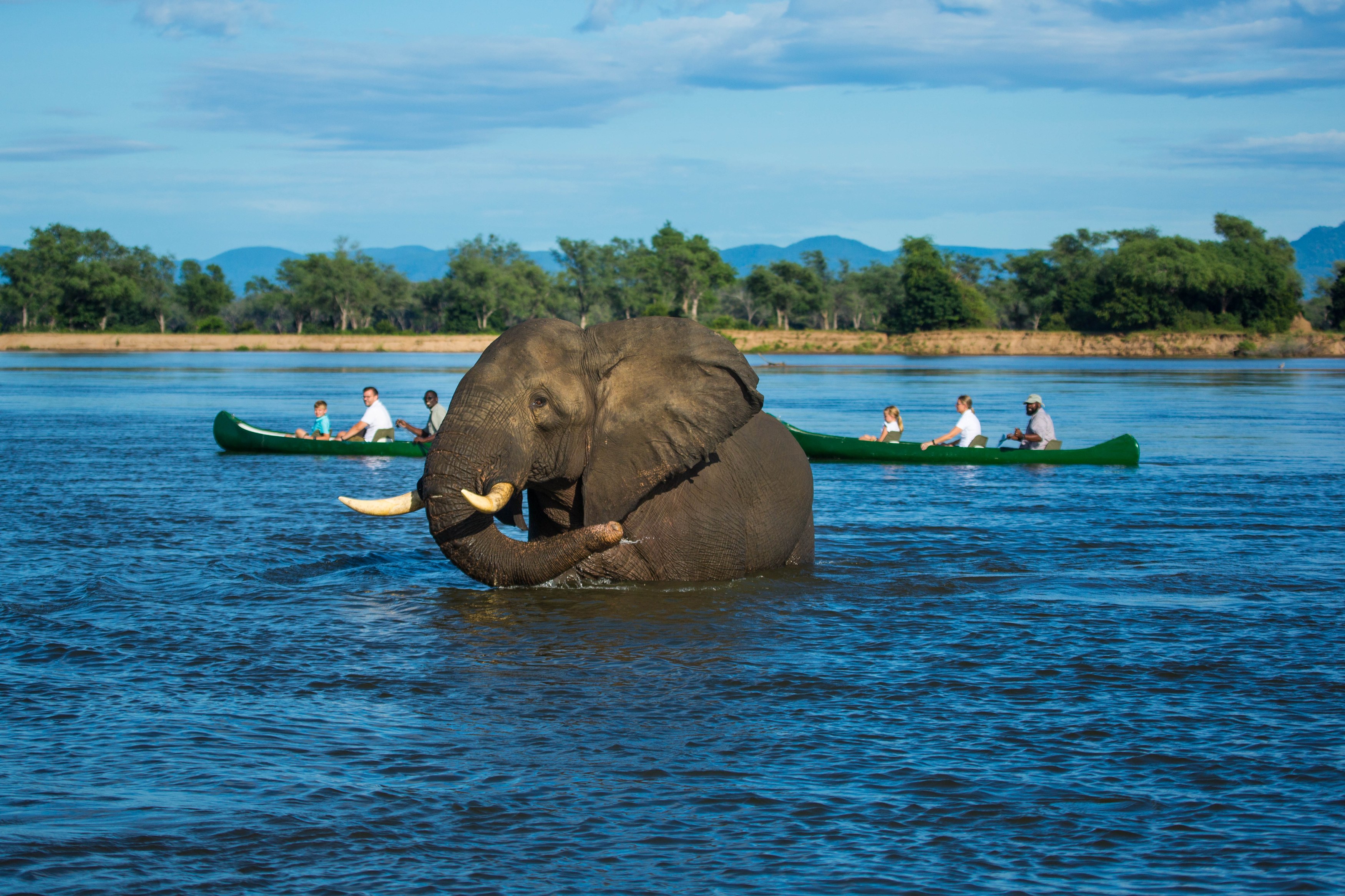 ZW-Tembo Plains-cano elephant2.jpg
