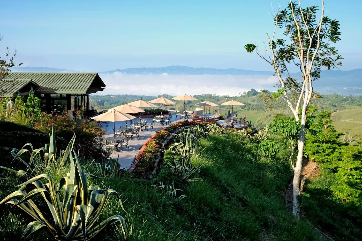 CR- Hacienda AltaGracia- Grano (3).webp
