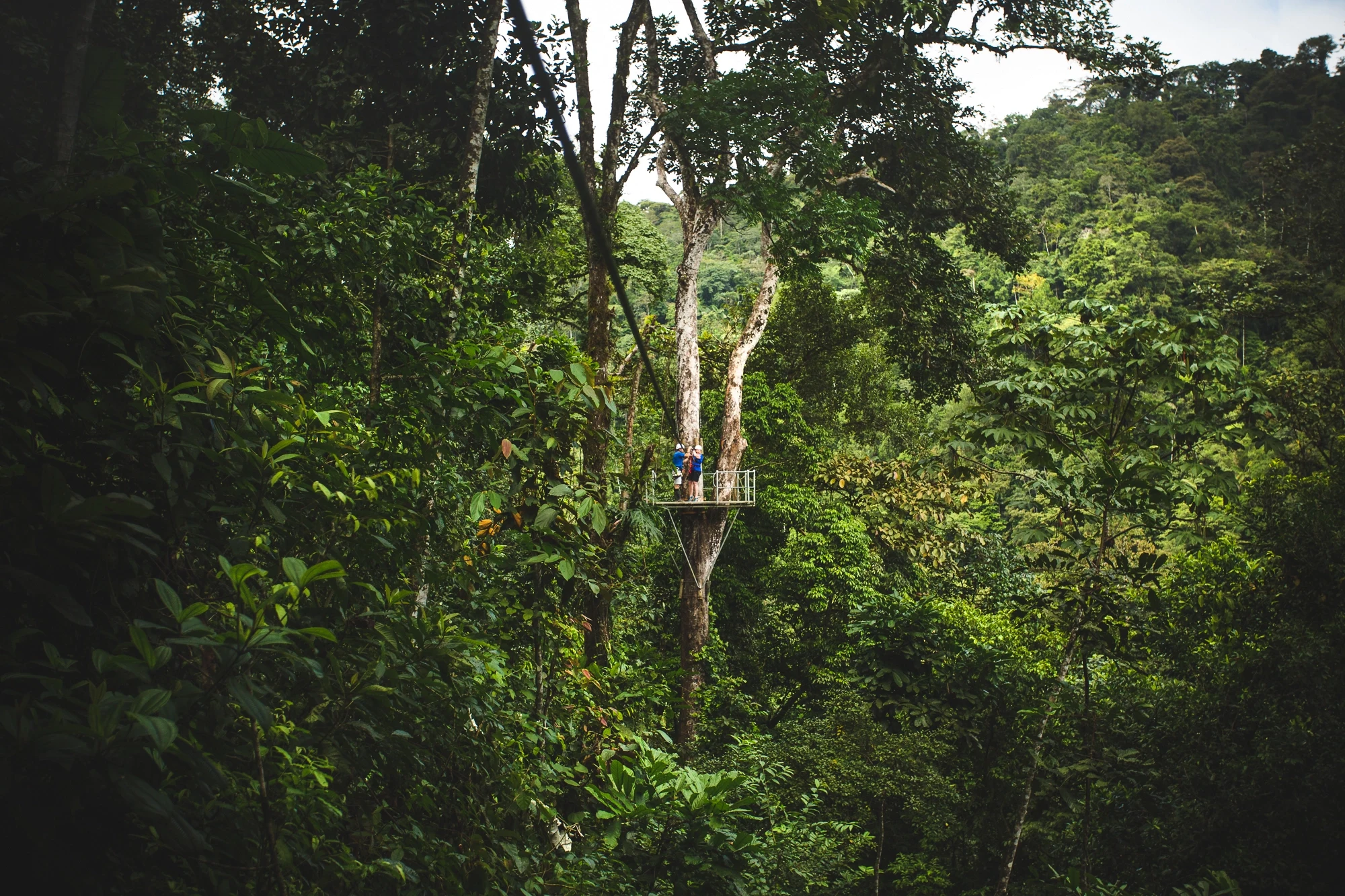 CR_zipline_header.webp