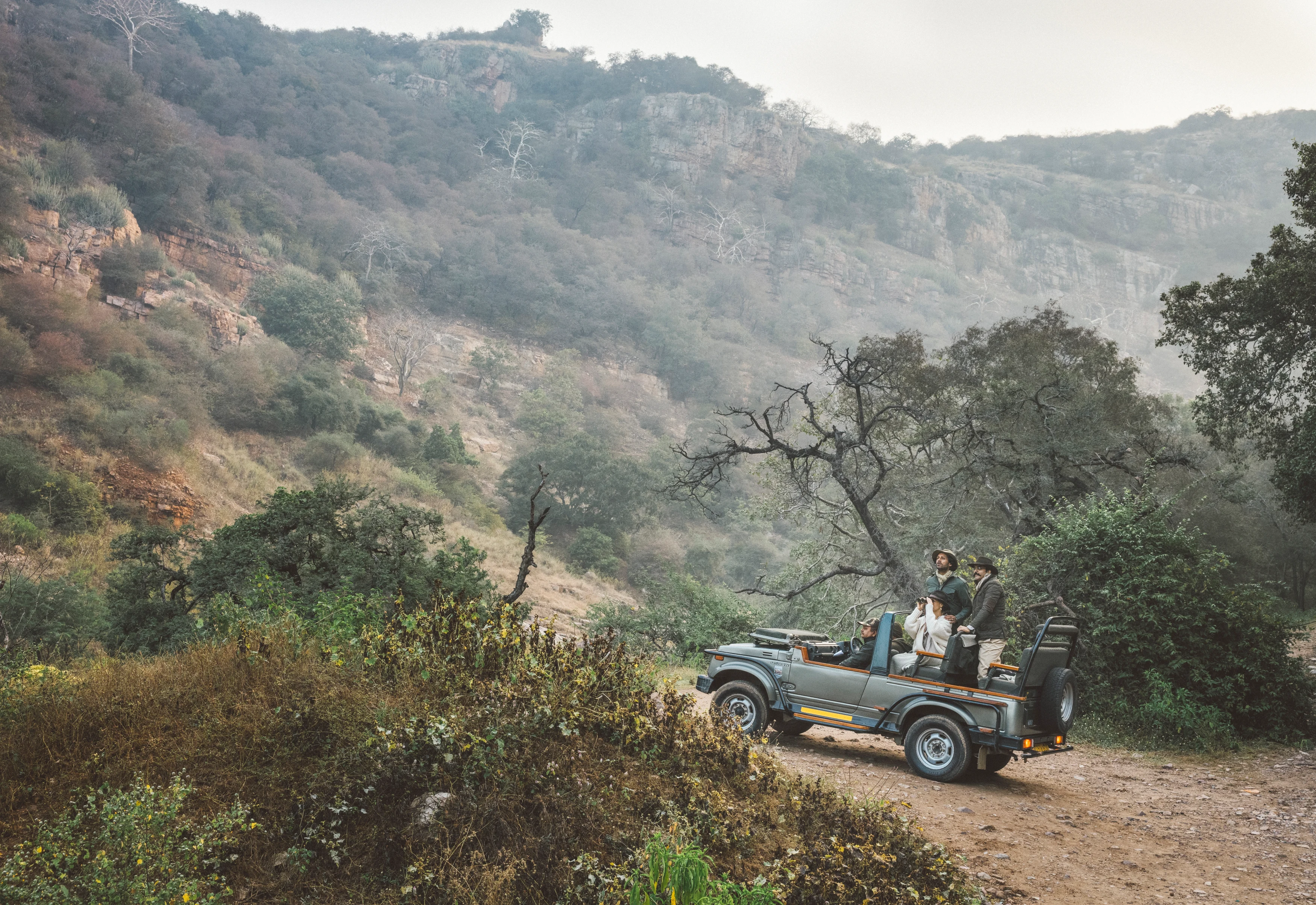 IN-Six-Senses-Fort-Barwara-Safari-in-Ranthambore.webp
