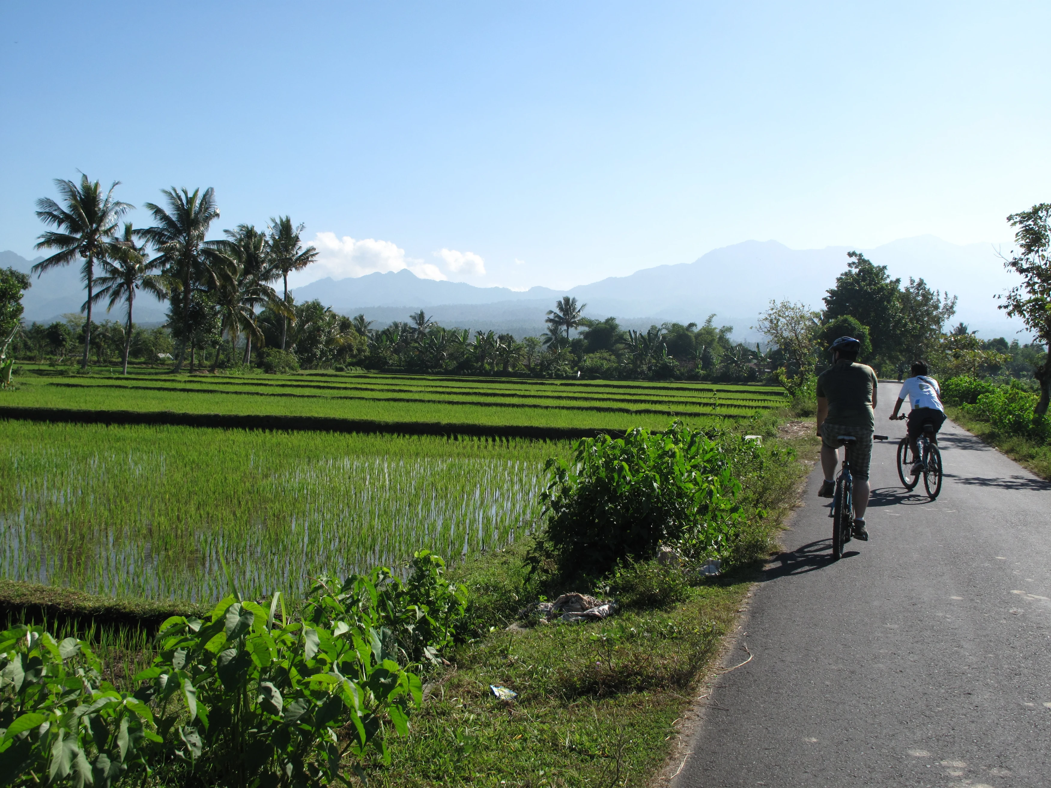 ID-Lombok-Cycling.webp