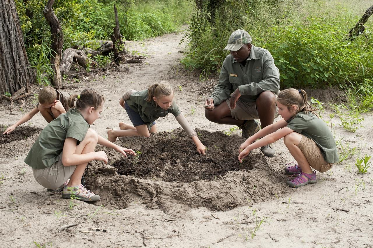 ZW - Somalisa Acacia - Digging.jpg
