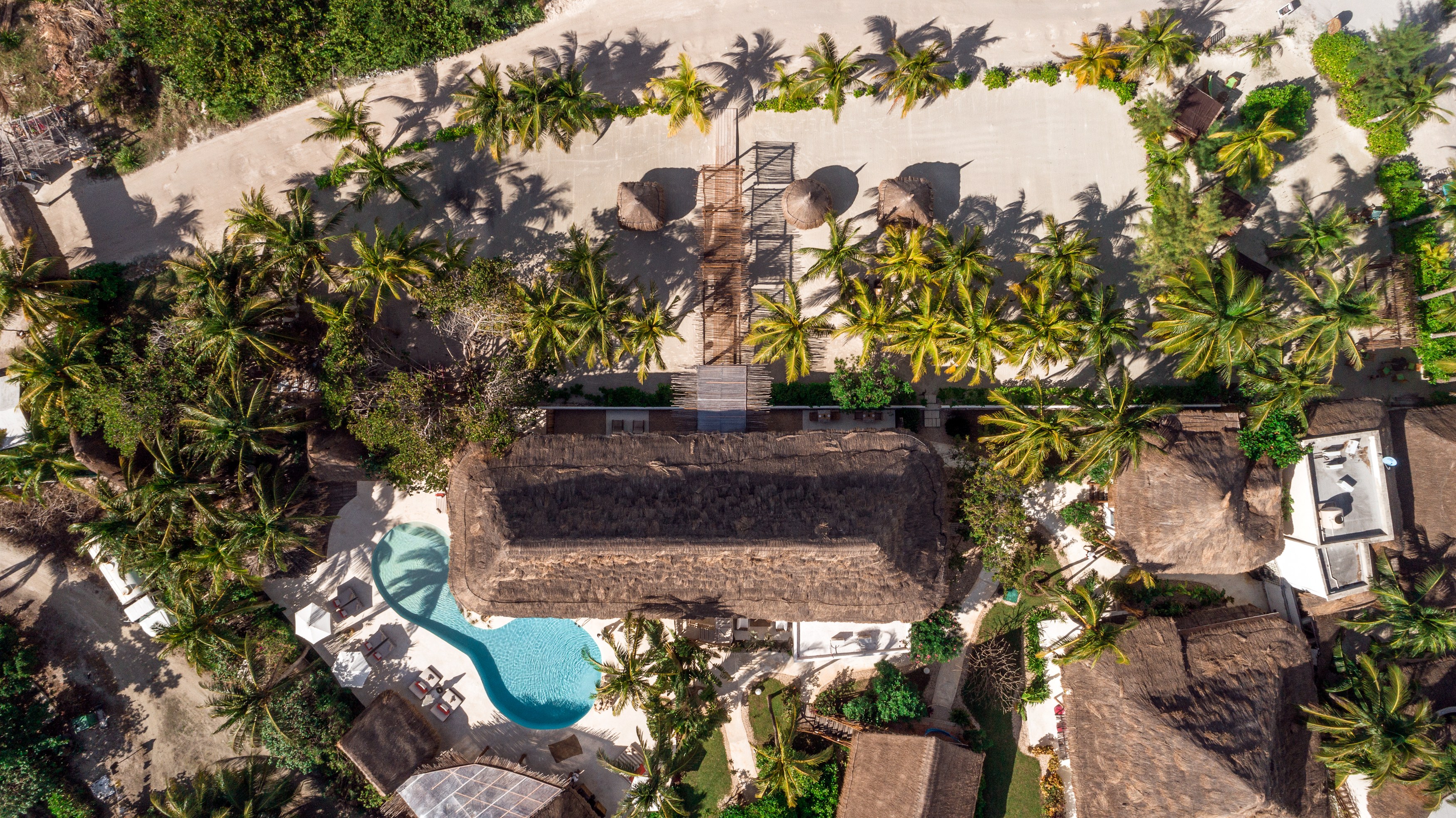 MX-casa sandra palmbomen 2020-25.jpg