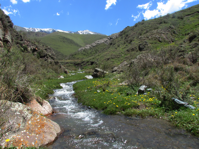 AR-Excursie-Mendoza-horseback-riding-quebrada-del-condor.png