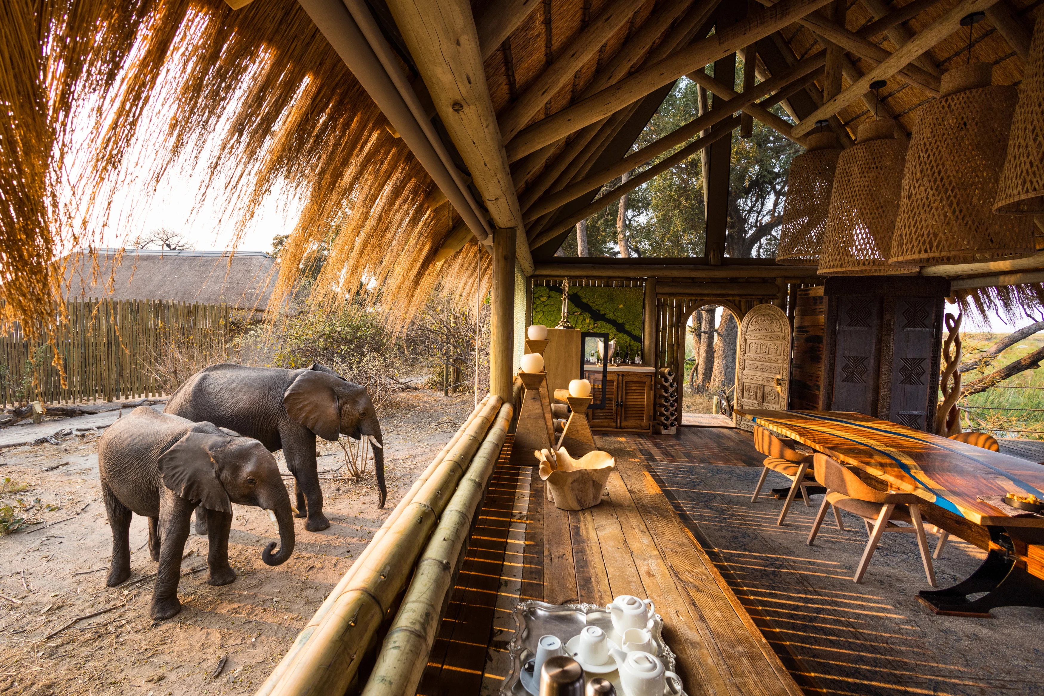 BW-Sitatunga Private Island-elephants at main dining area.webp