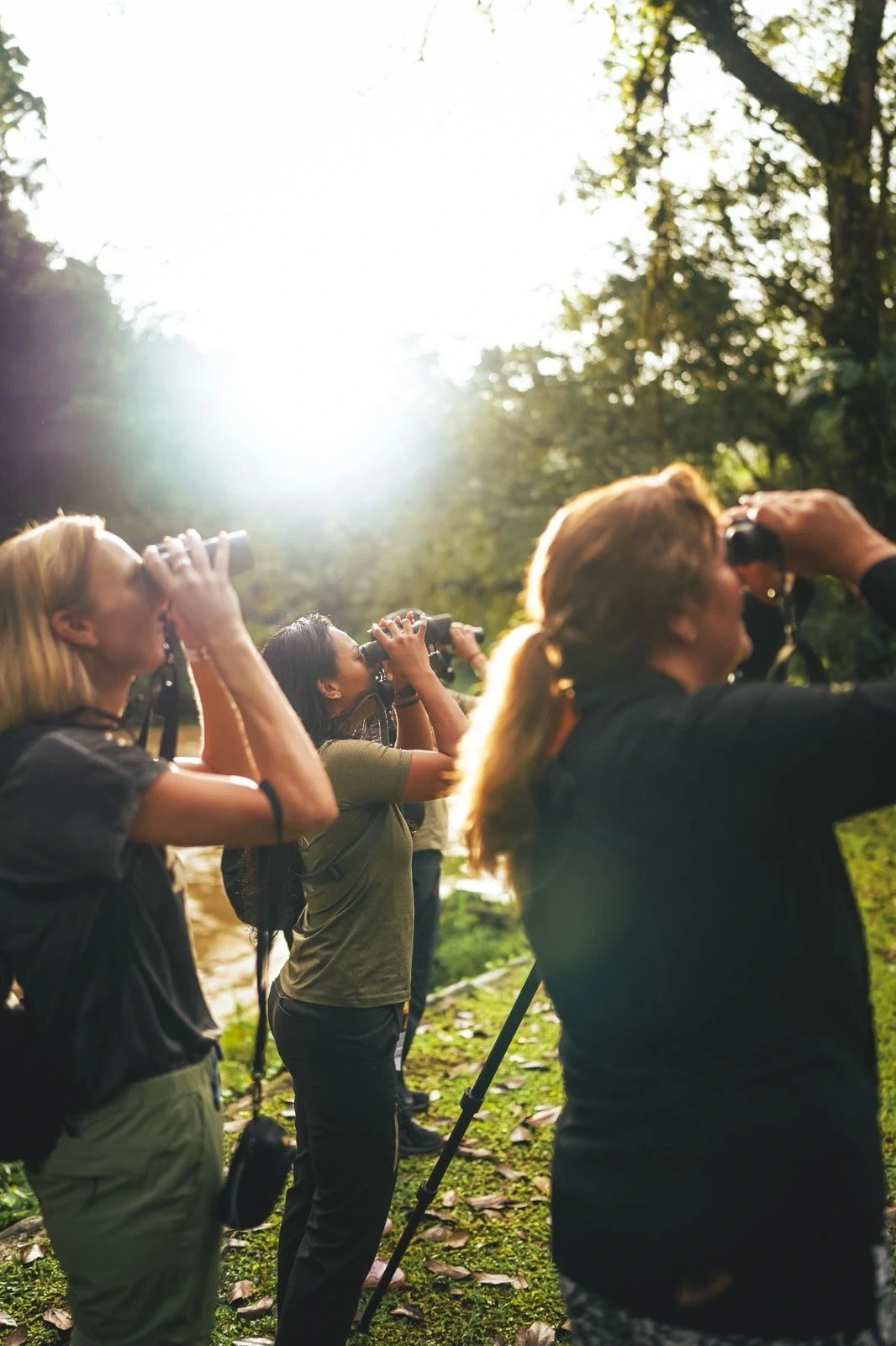 CR-Marjolein-Pacuare-Lodge-birdwatching1.webp