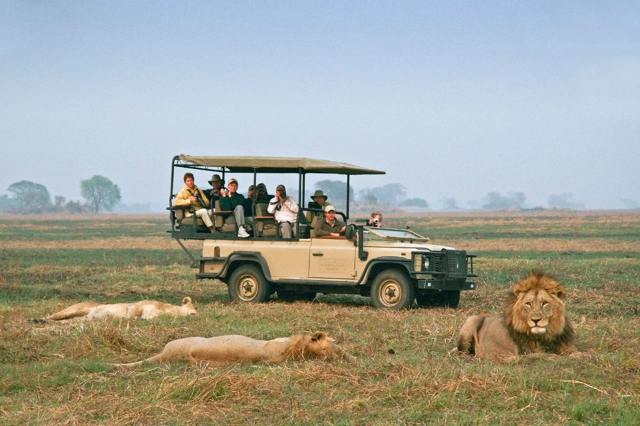 ZM - Busanga Bush Camp - Gamedrive.webp