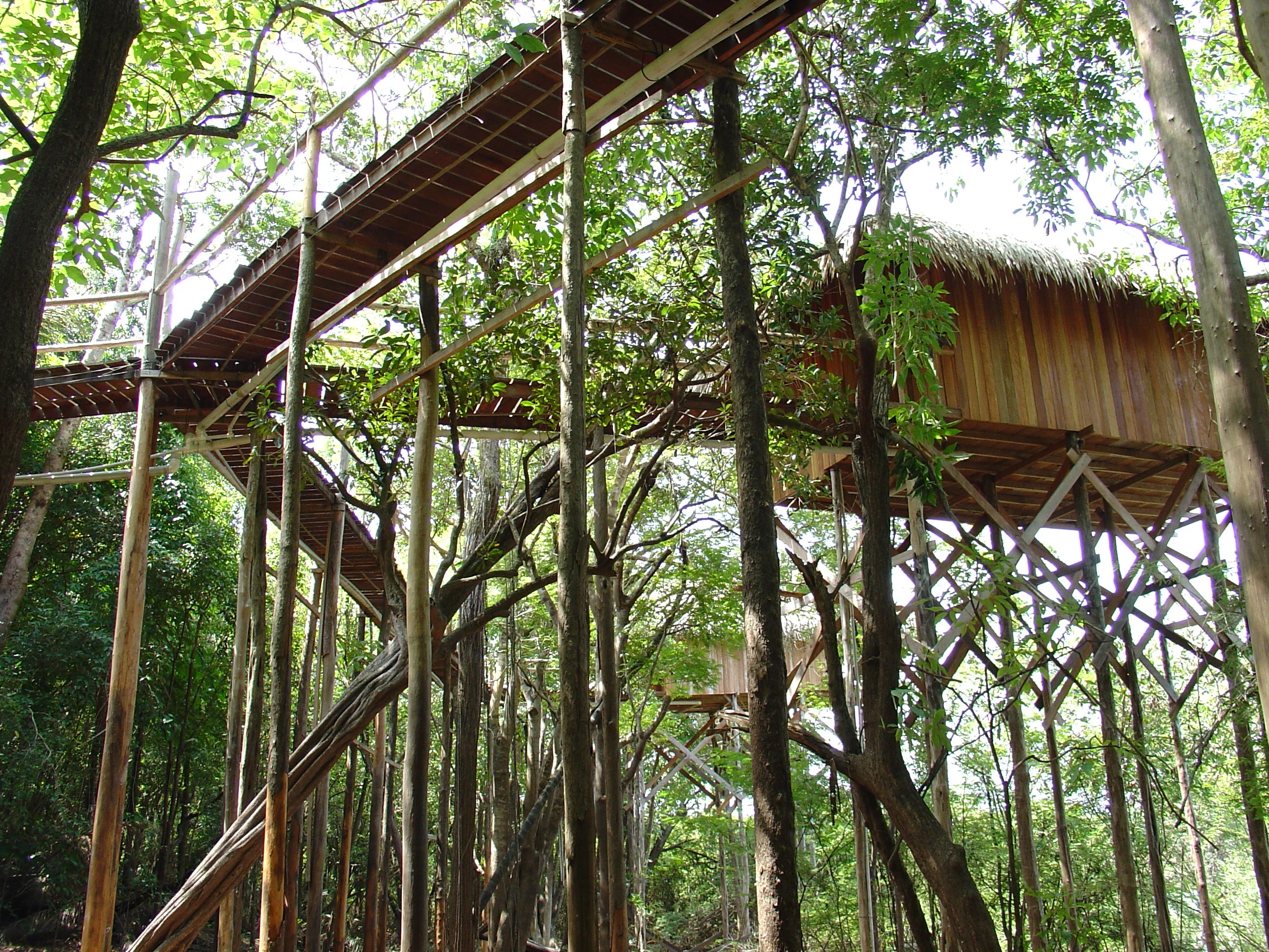 BR - Juma Amazon Lodge - palafitas.webp