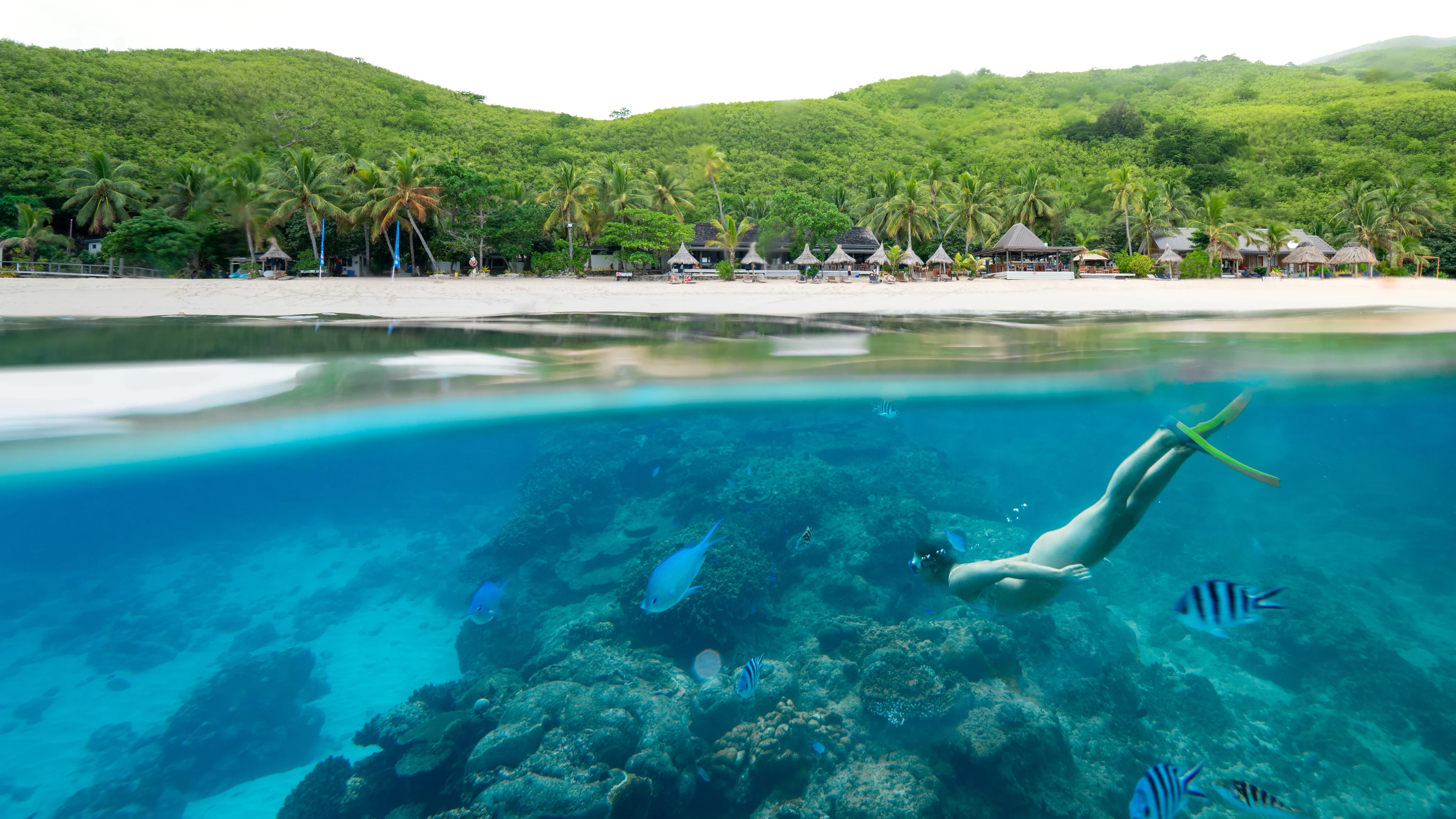 FJ-Algemeen beeld-swimming in the sea.webp