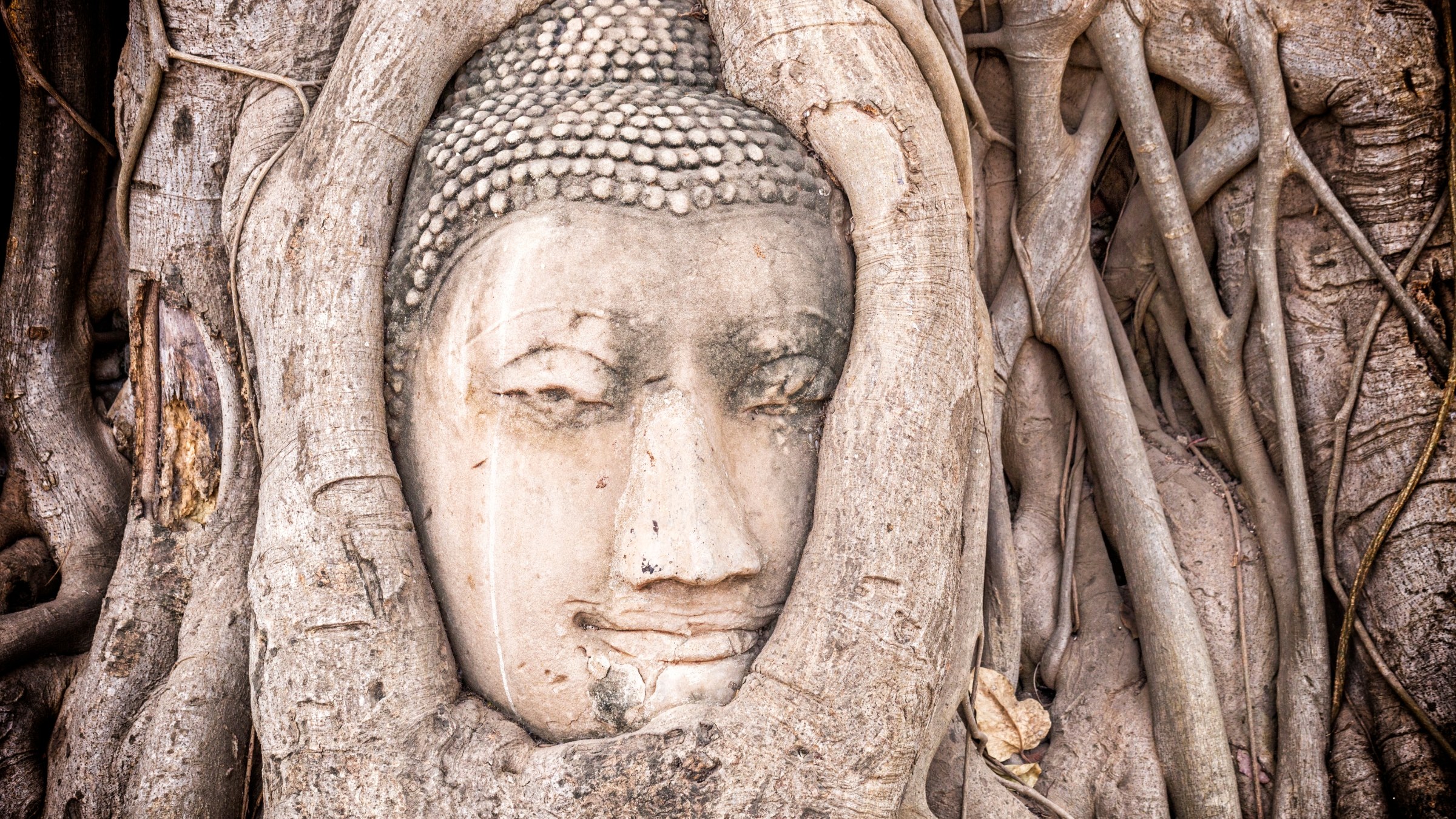 TH-Ayutthaya-ruines-1.jpg