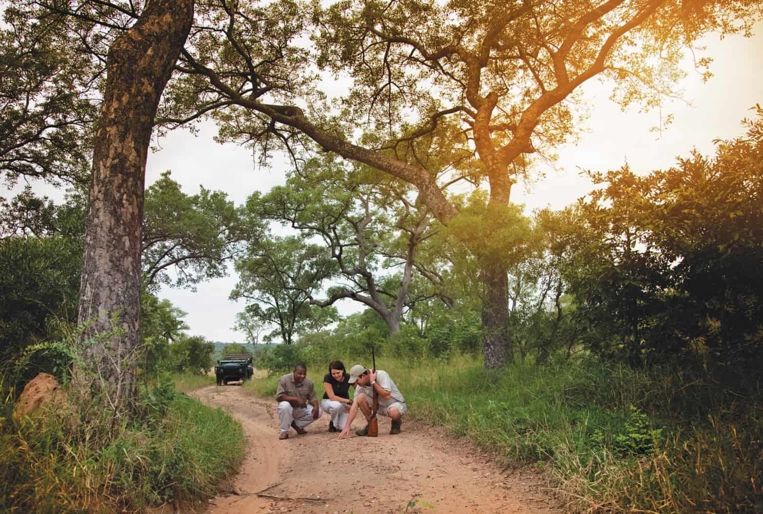 ZA- leopard hills - activities private safari explore.jpg