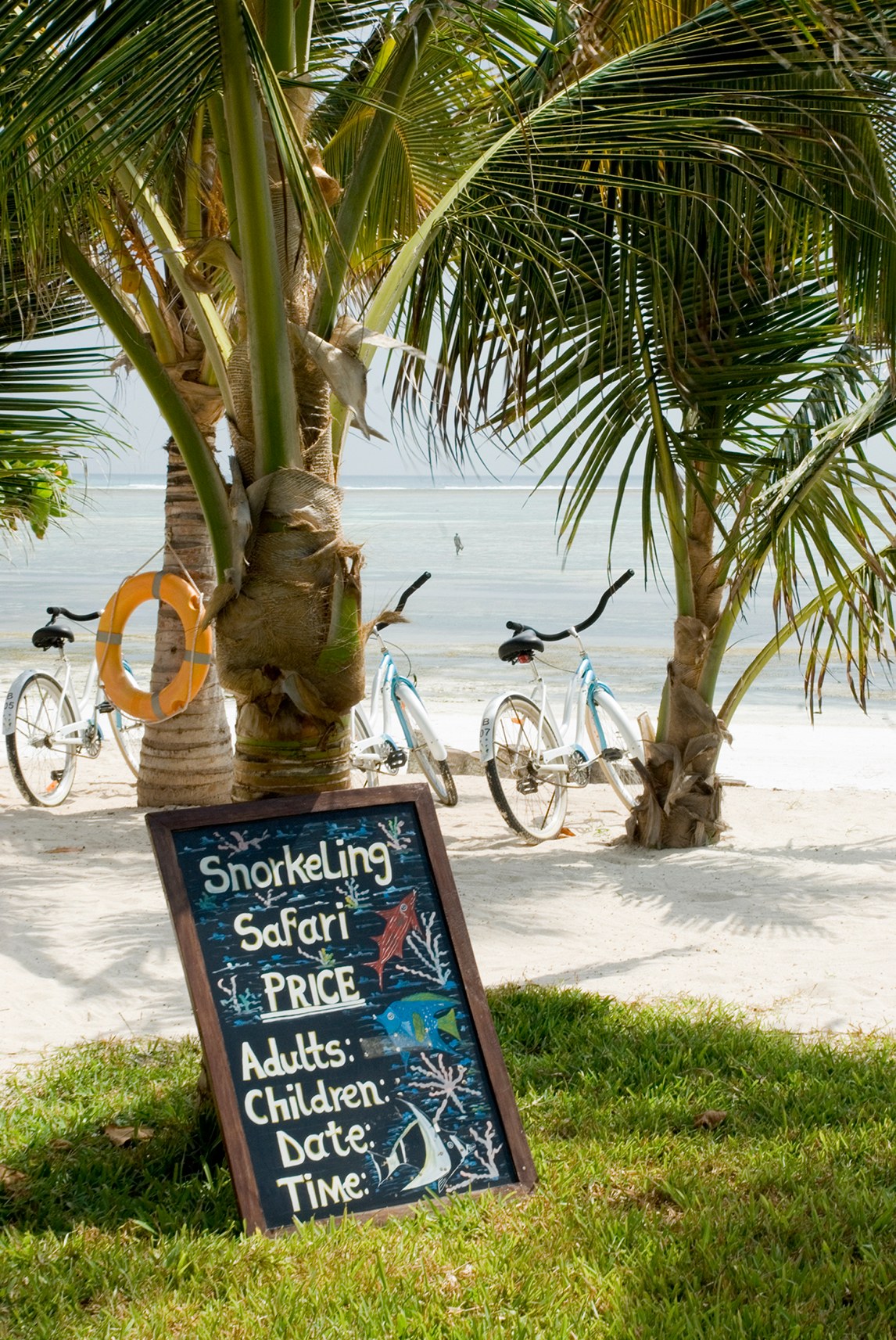 TZ - Baraza Resort & Spa - snorkeling.jpg