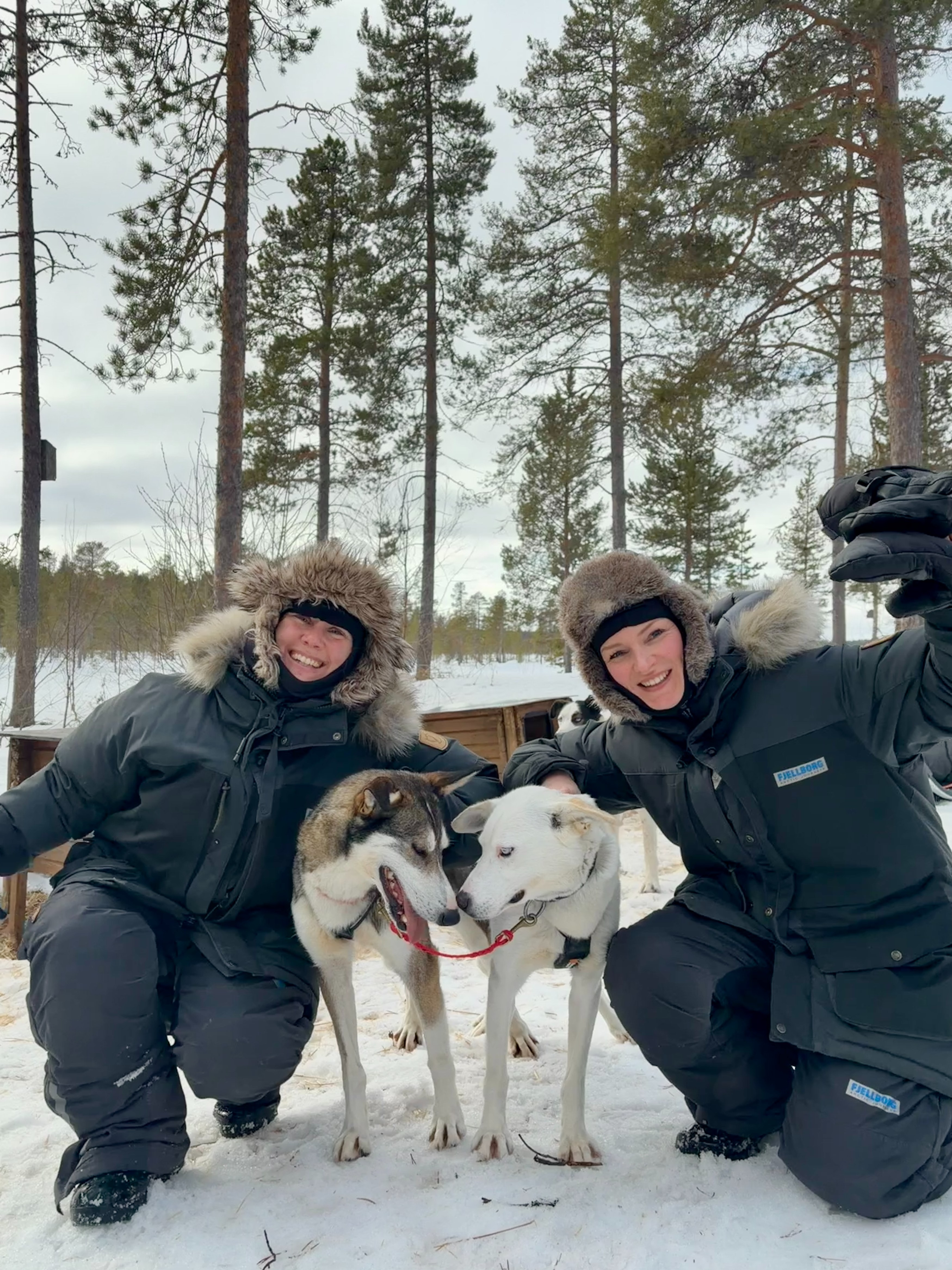 SE - studiereis Ingrid en Katrijn 2026 -excursie-fjellborg-huskytocht-ingrid-katrijn.JPG