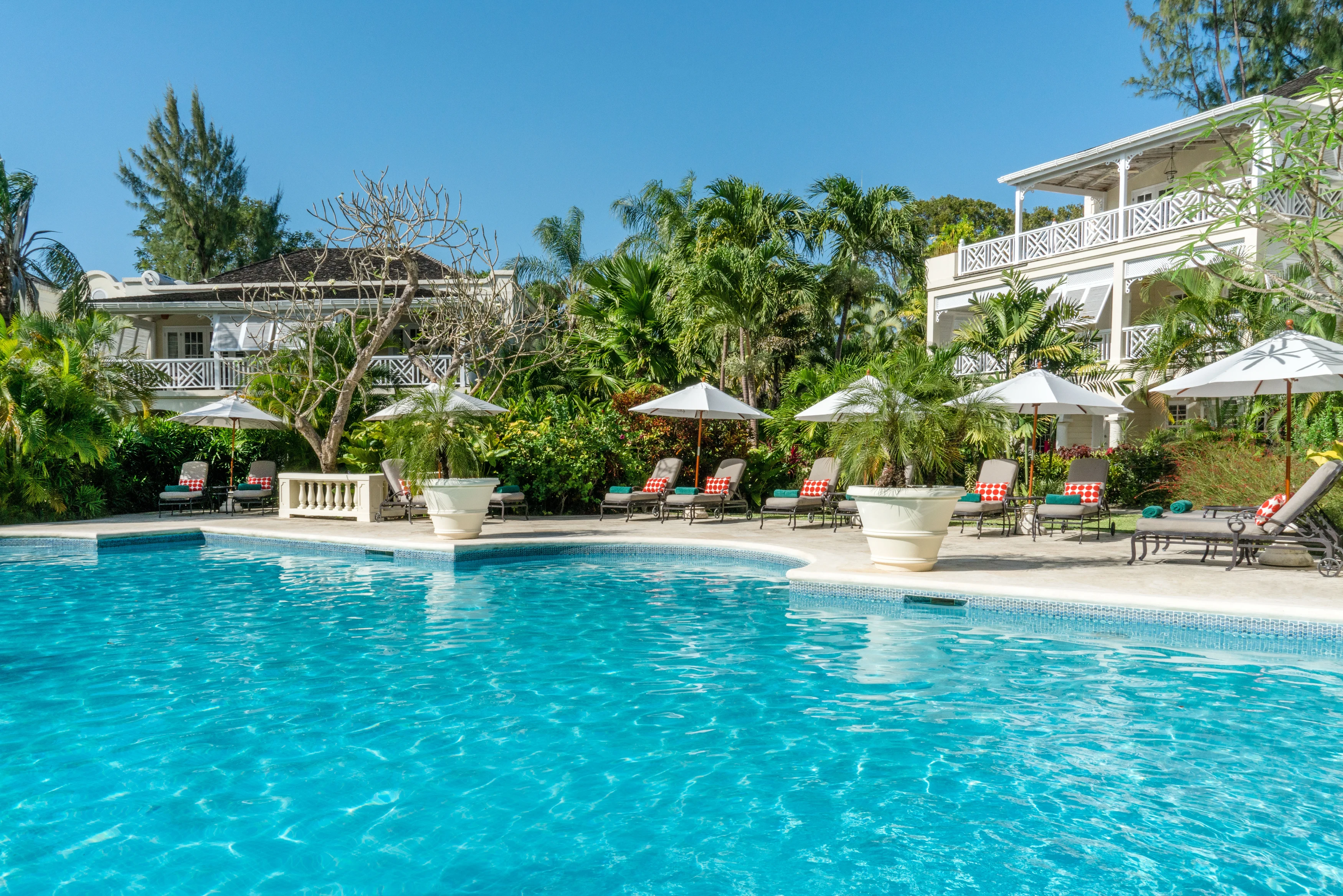 BB - Corel Reef - pool and chairs.webp