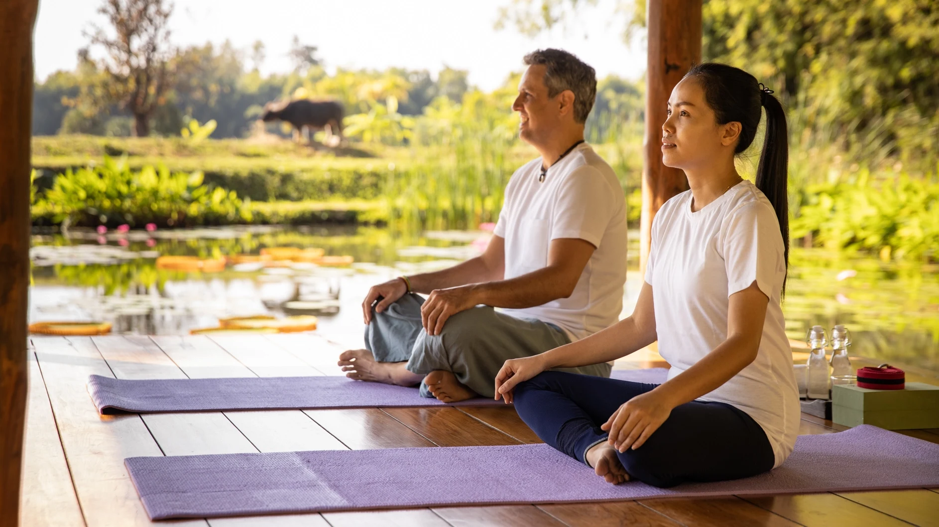 TH- Pa Sak Tong - Activities- Yoga (2).webp