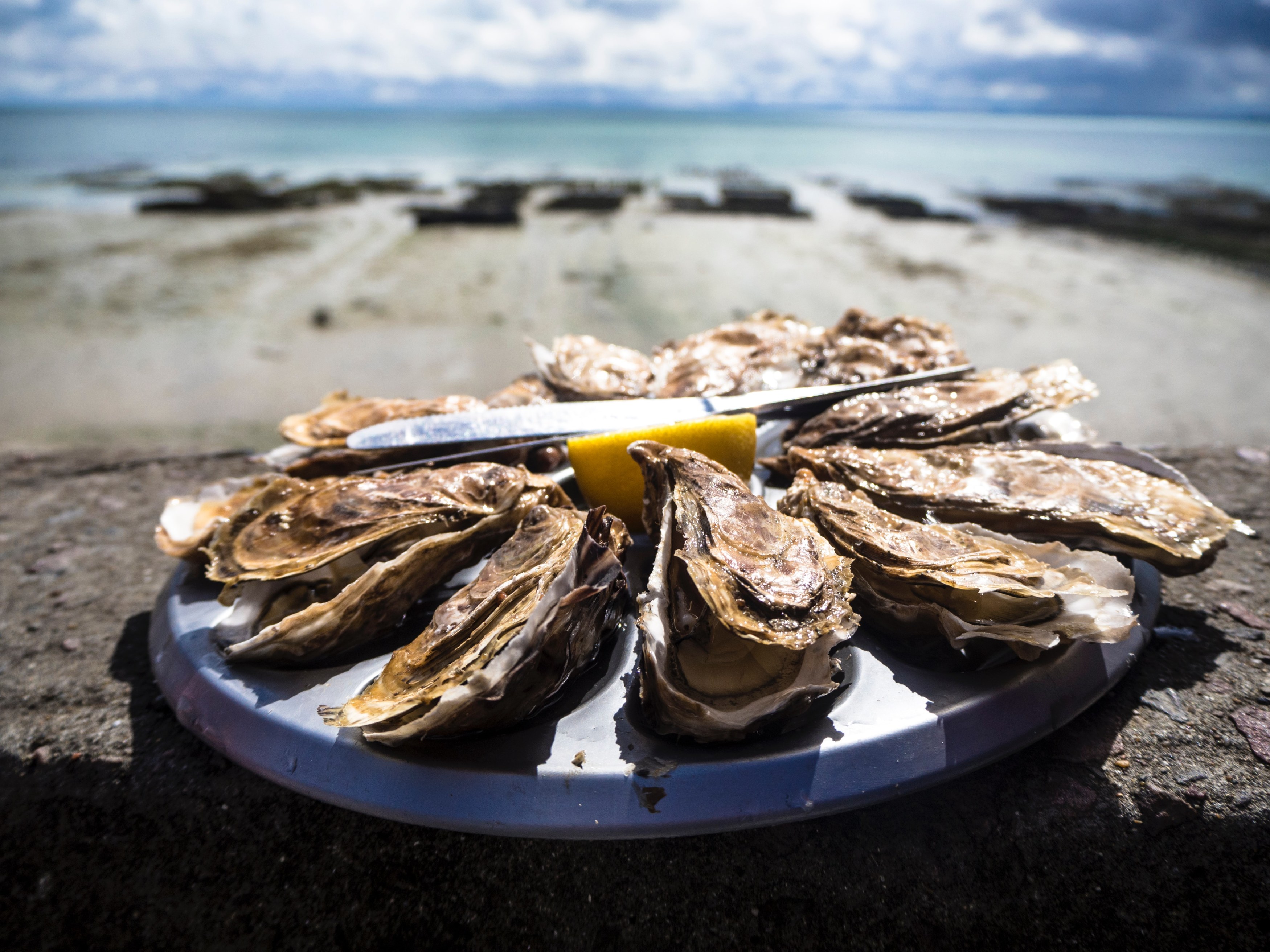 PT-Oysters Tour.jpg