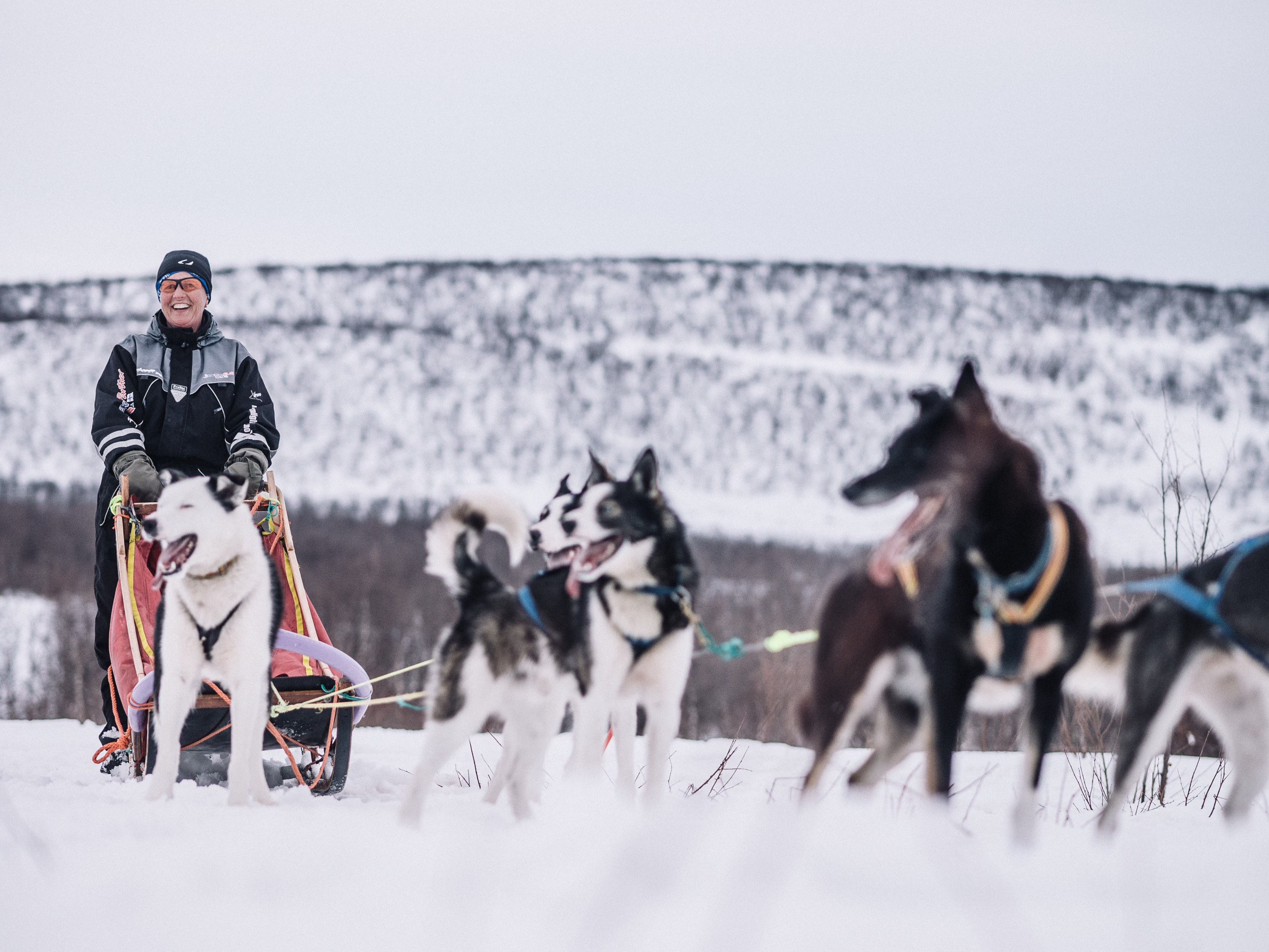 NO - accommodatie - Trasti & Trine - Dog sled 1.jpg