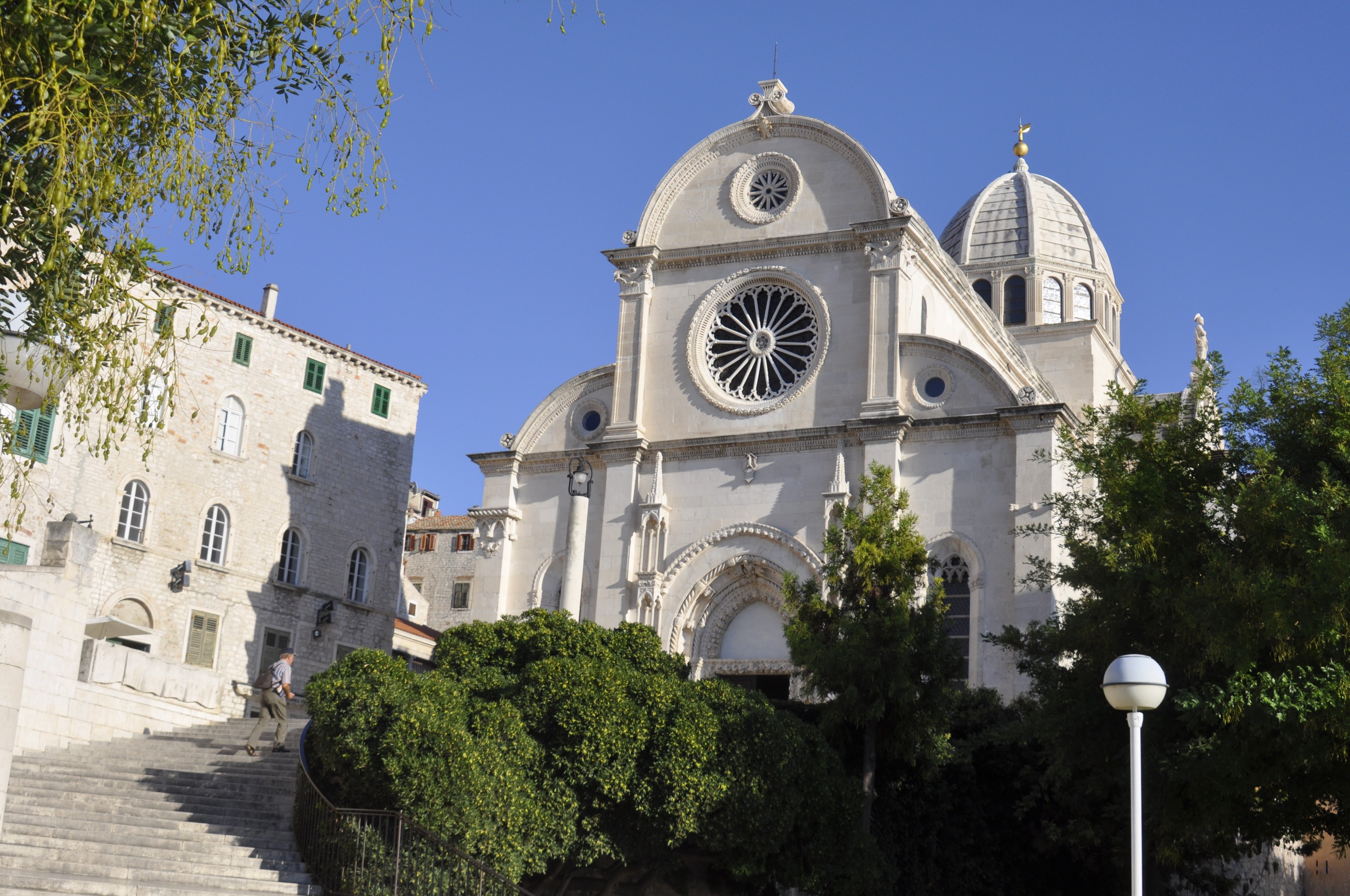 silberfuchs-croatia-62681.jpg