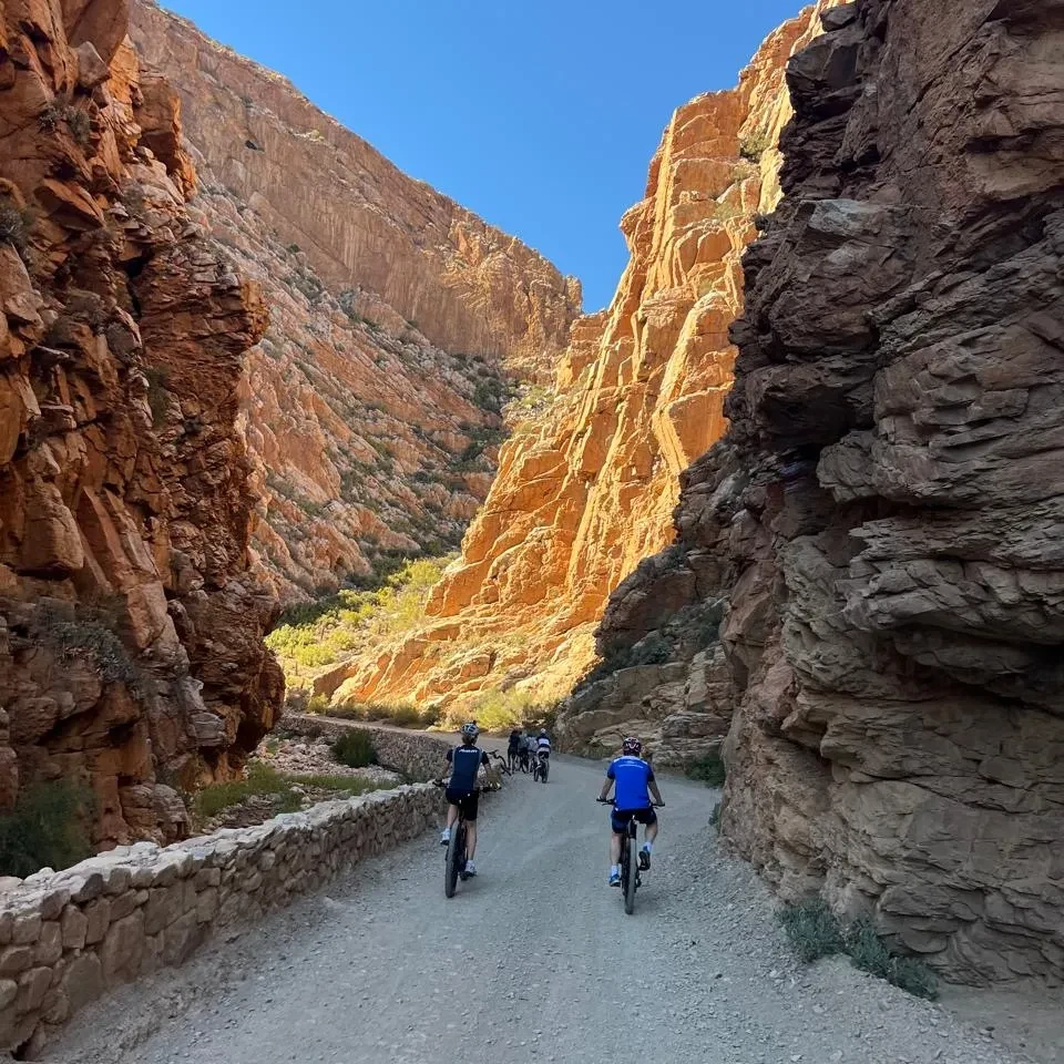 ZA-The Slow Cyclist-Karoo.webp