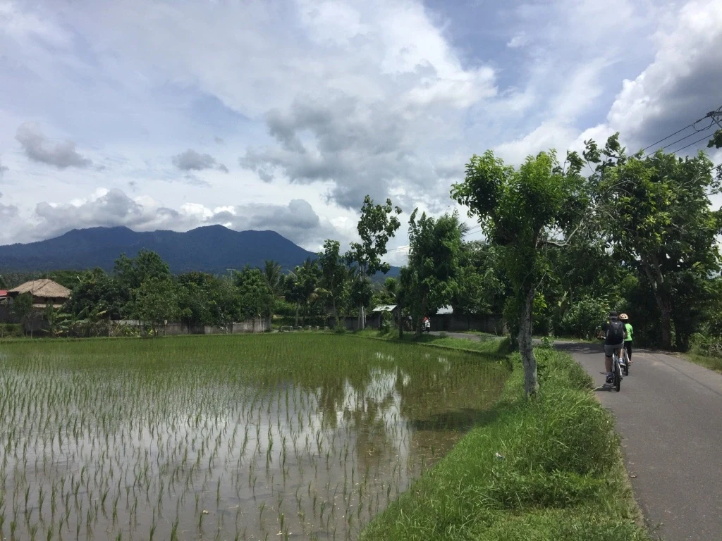 IN - Bali - Cycling Tour Lombok (1).webp