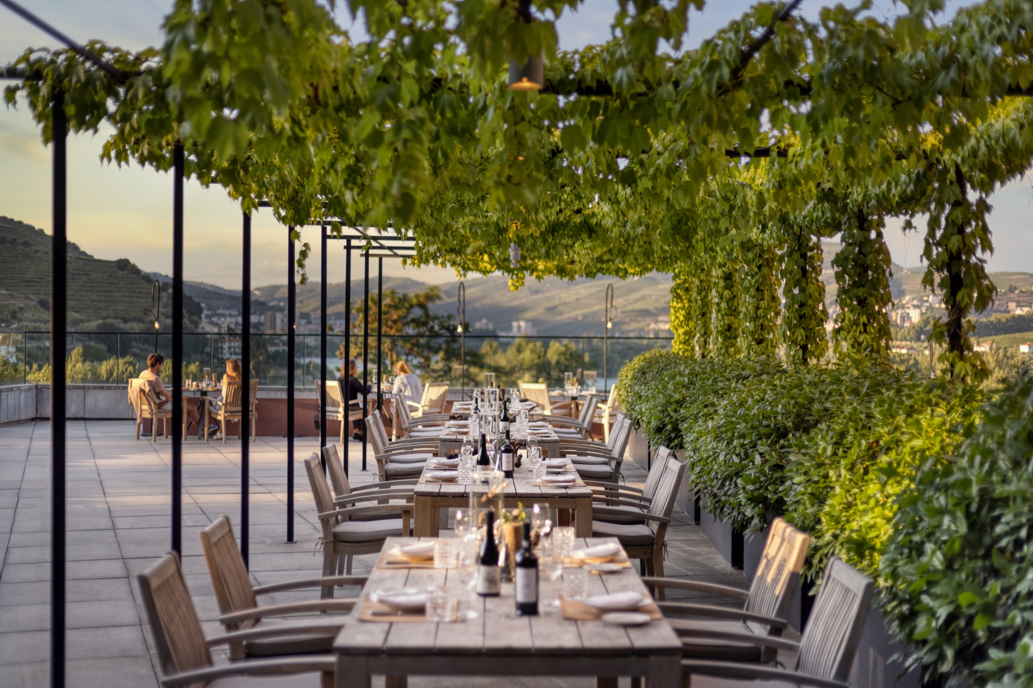 PT - Six Senses Douro Valley - Wine Library terrace.jpeg